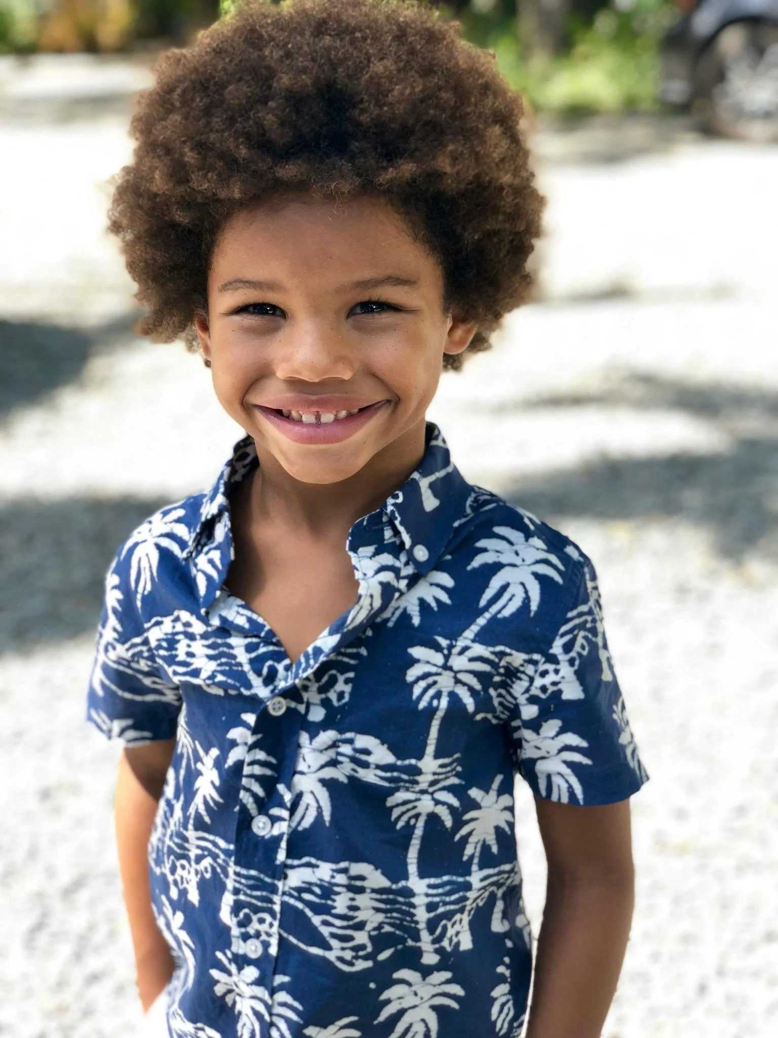 A smiling young boy with curly hair wearing a blue Hawaiian shirt with white palm tree patterns, standing outdoors with a blurry background of trees and a gravel ground.