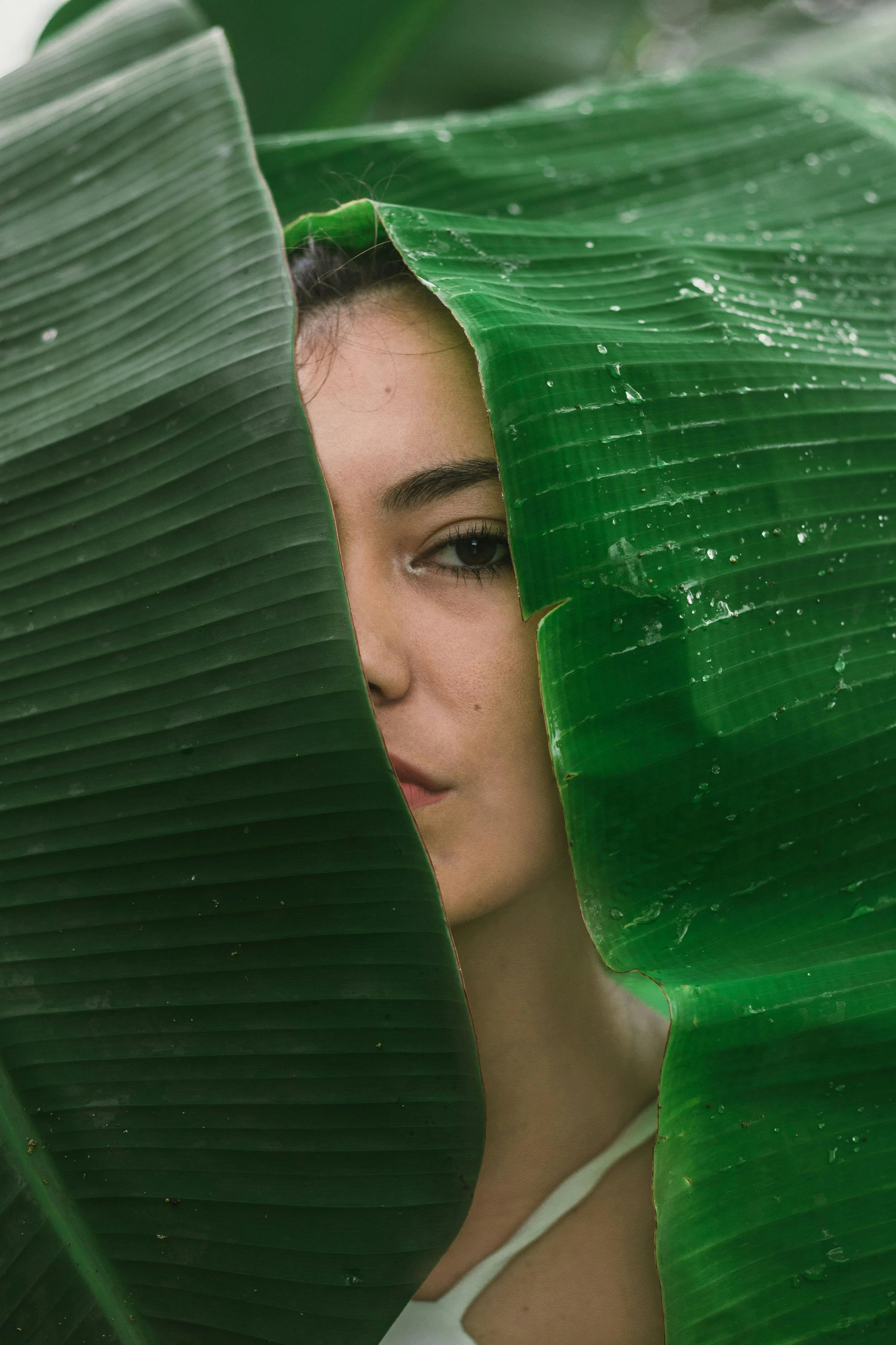 A woman peeking through large green tropical leaves with one eye visible.