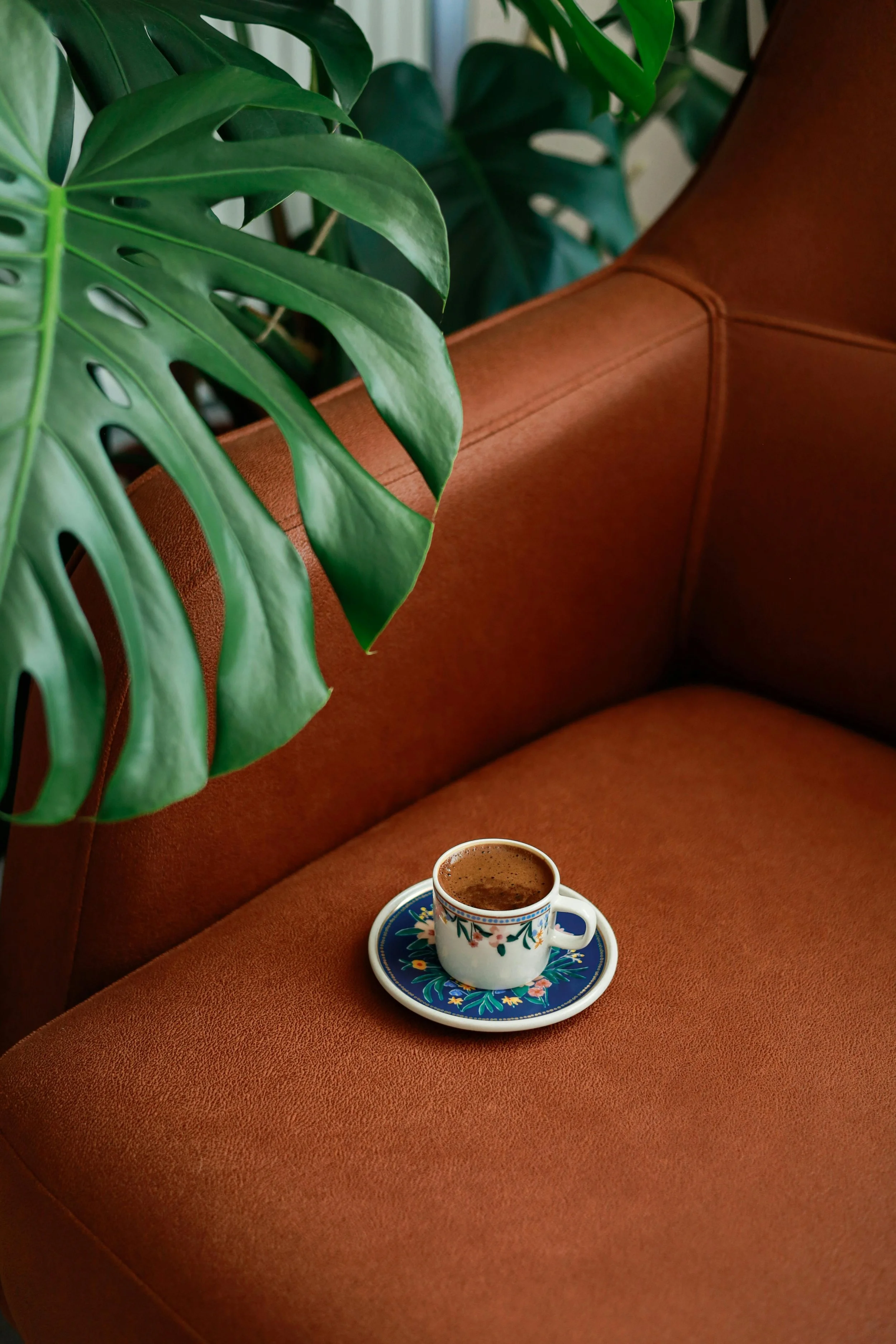 A white cup of hot hot chocolate on a decorative blue saucer, resting on a burnt orange sofa with a large green monstera plant nearby.