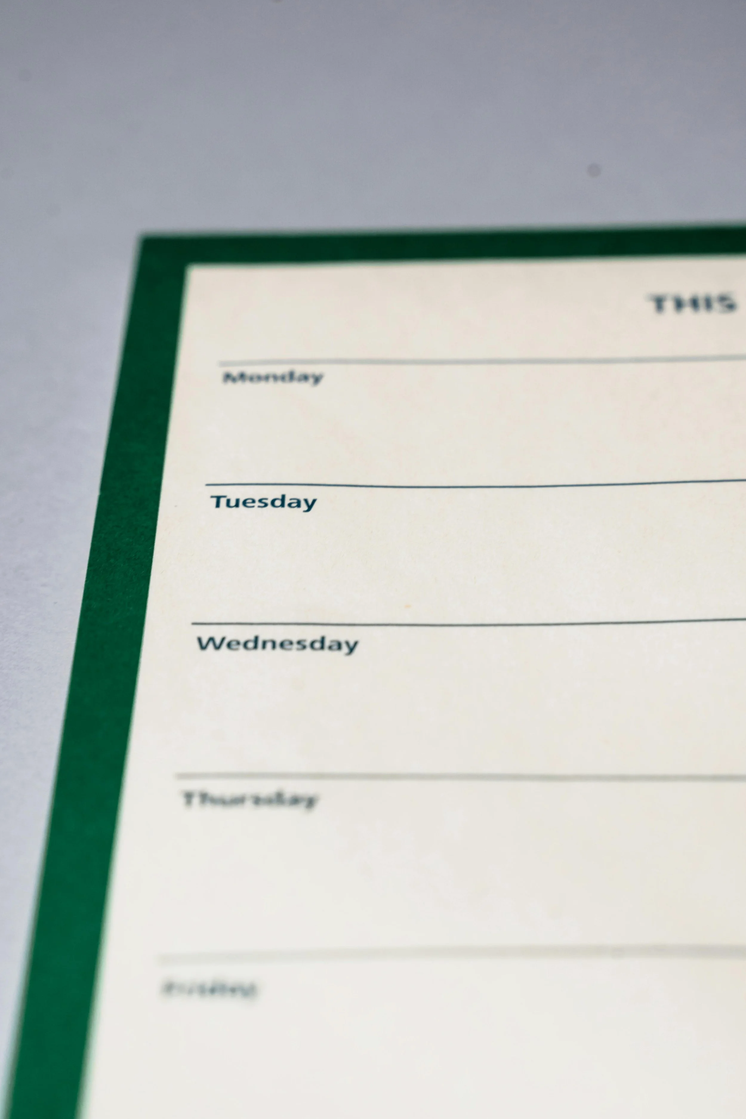Close-up of a weekly planner page showing the days Monday through Thursday, with a green border on the left side.