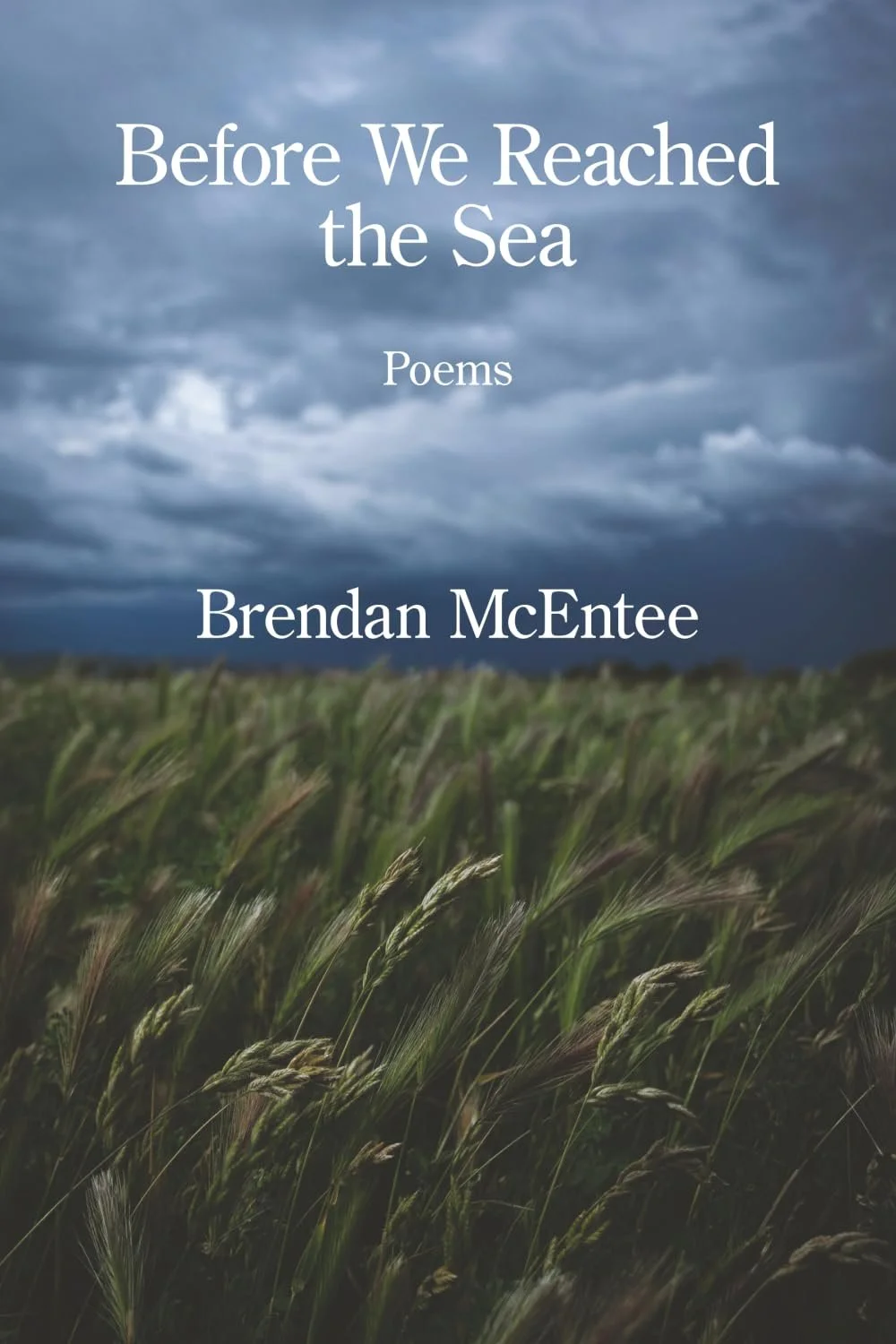 Before We Reached The Sea (Signed)
