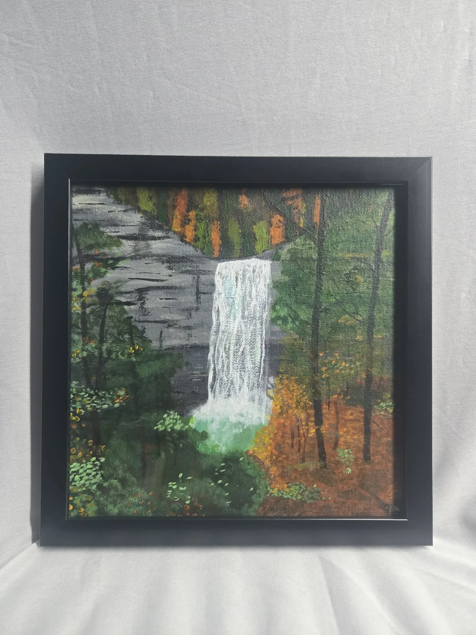 "Upstate Decent" Framed (9in x 9in )