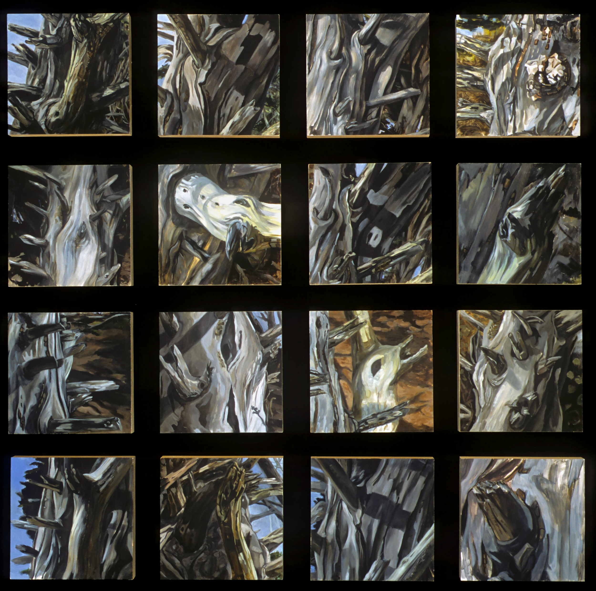 Cypress, collaboration with Joan Wulf, 2001-2002, oil on panel, 9" x 9" panels (group of 16)