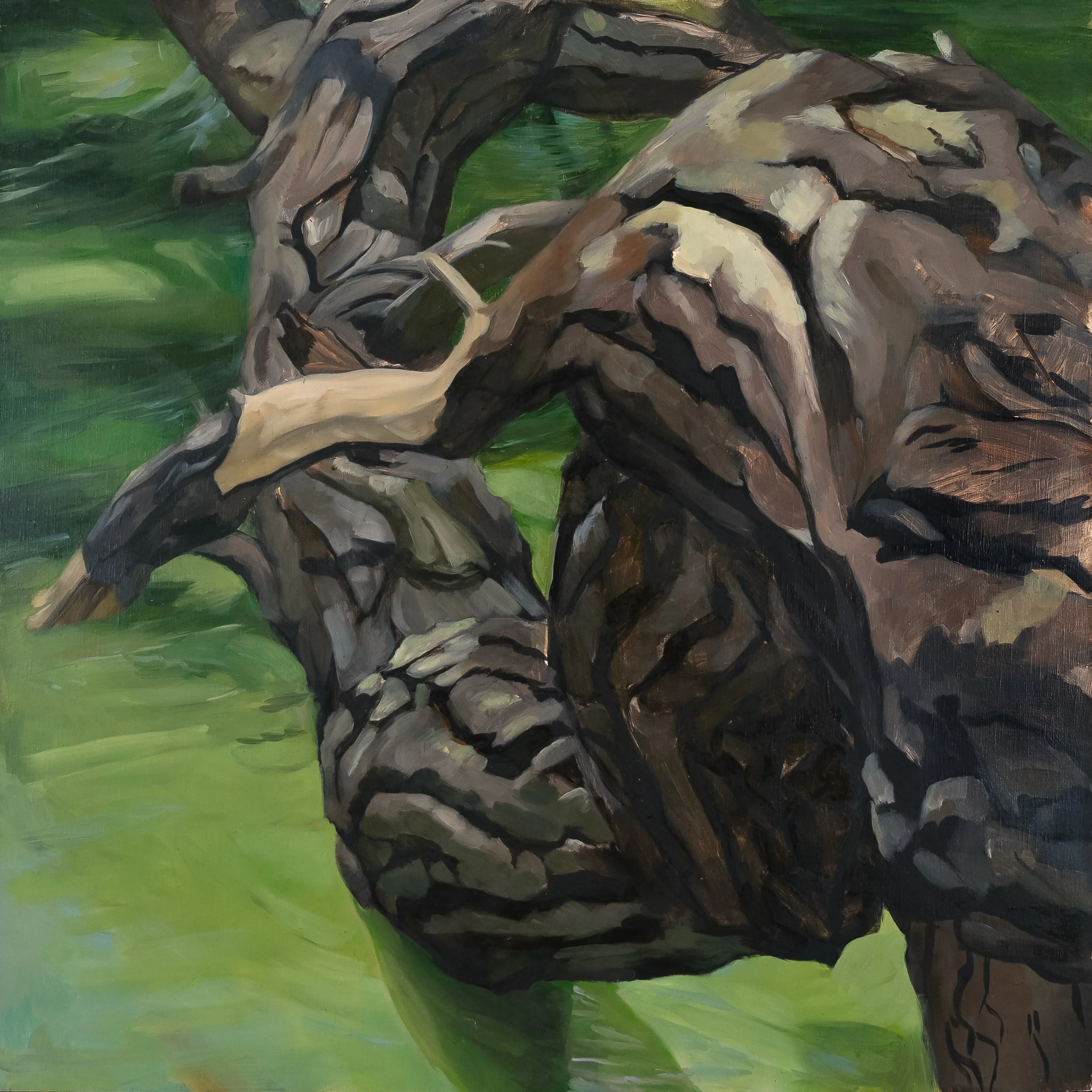 Branch #2, 2002, oil on panel, 24" x 24"