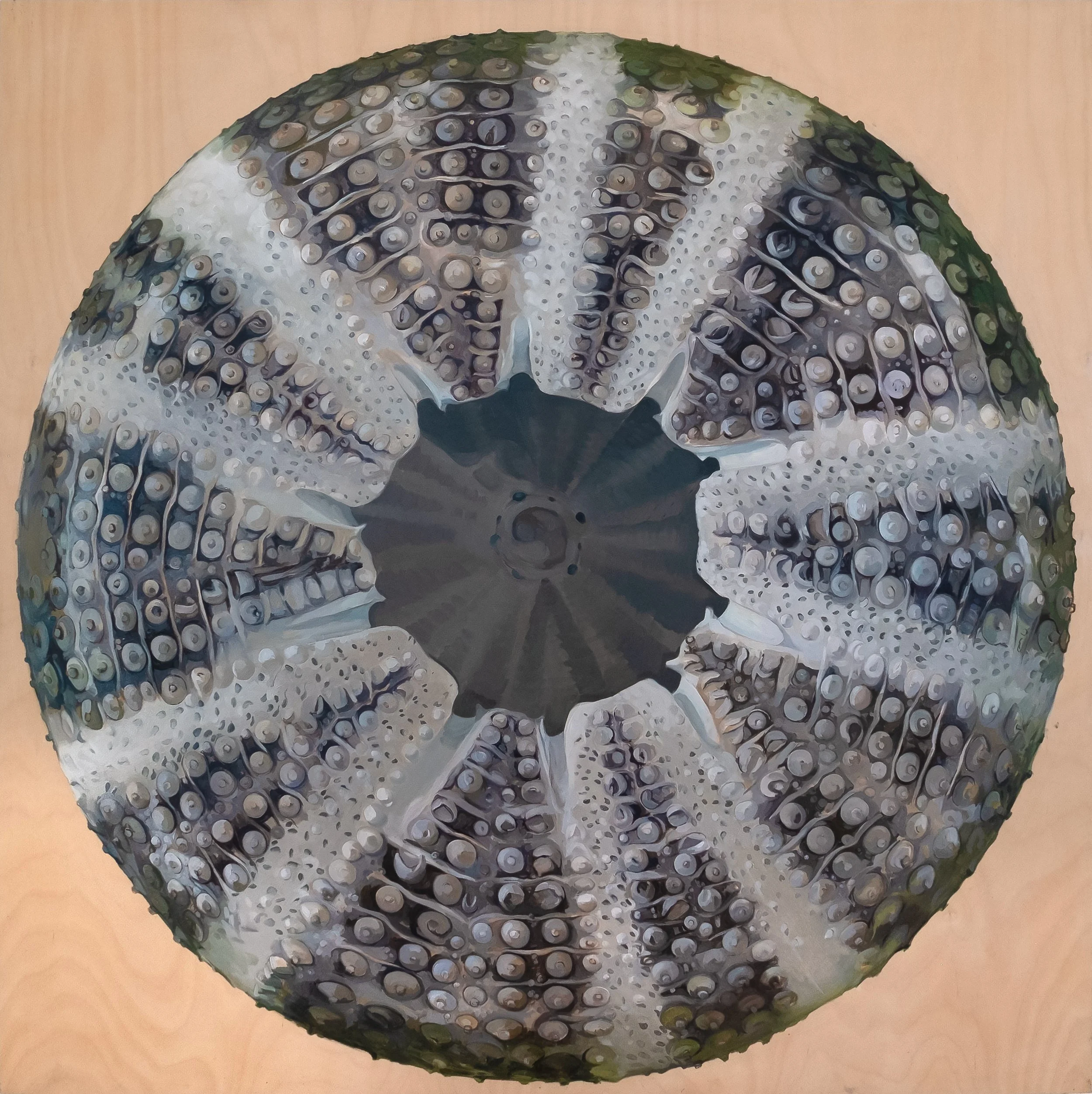 Urchin.jpg