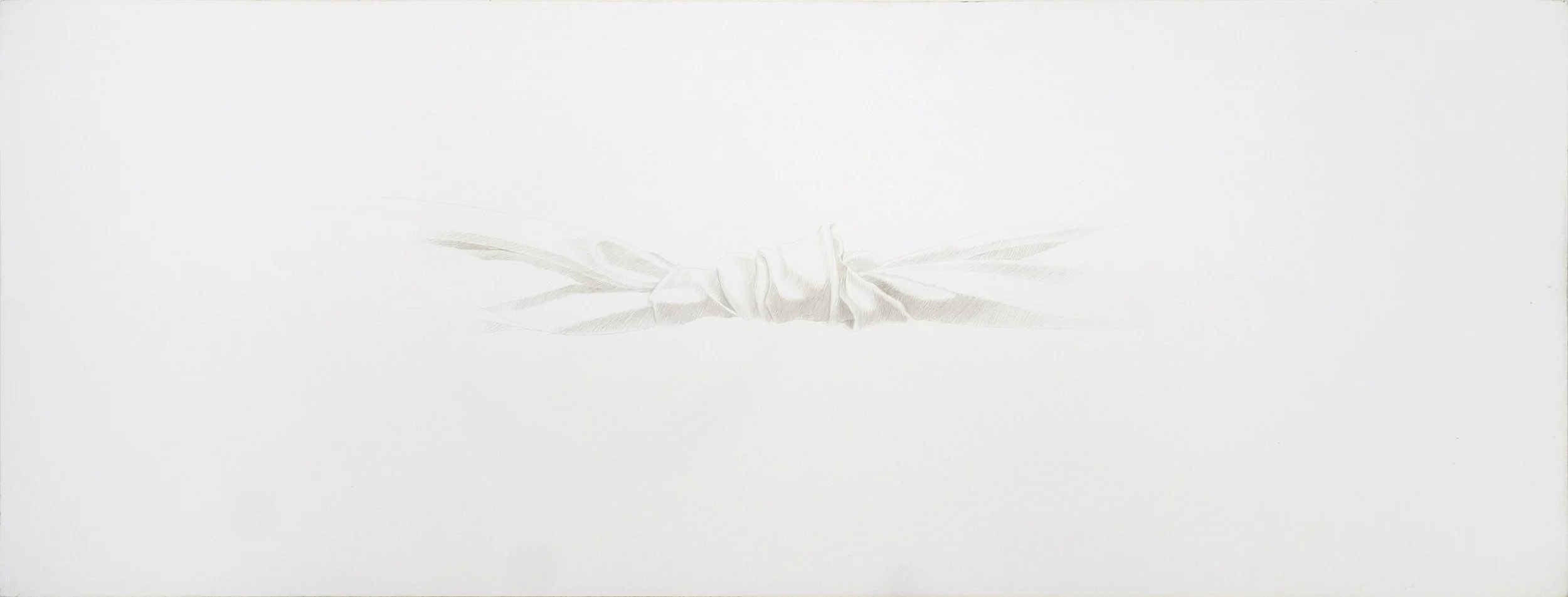 Knot #23, 1994, silverpoint on panel, 6" x 16"