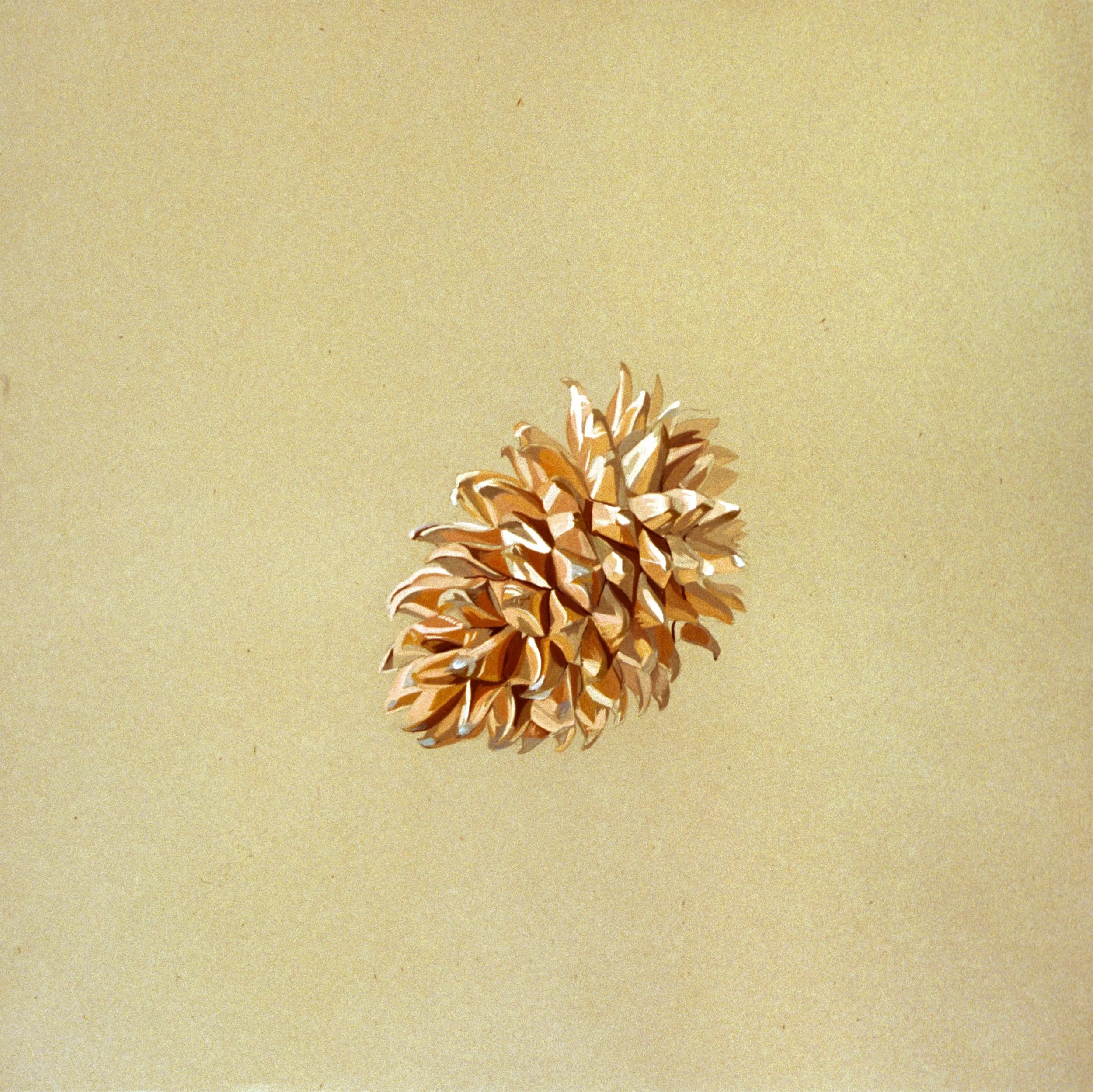 Cone #6, 2005, gouache on paper, 24" x 24"
