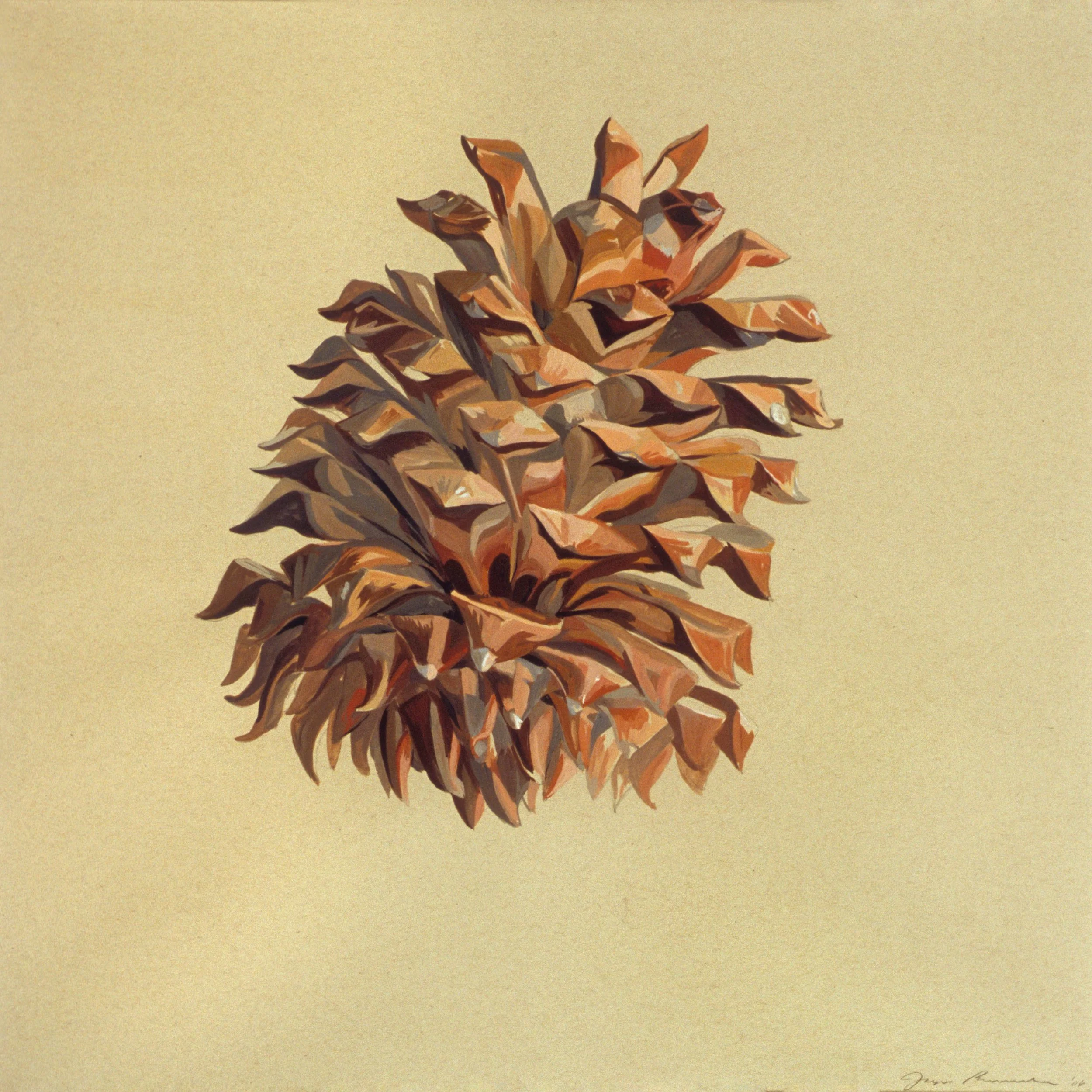 Cone #8, 2005, gouache on paper, 24" x 24"