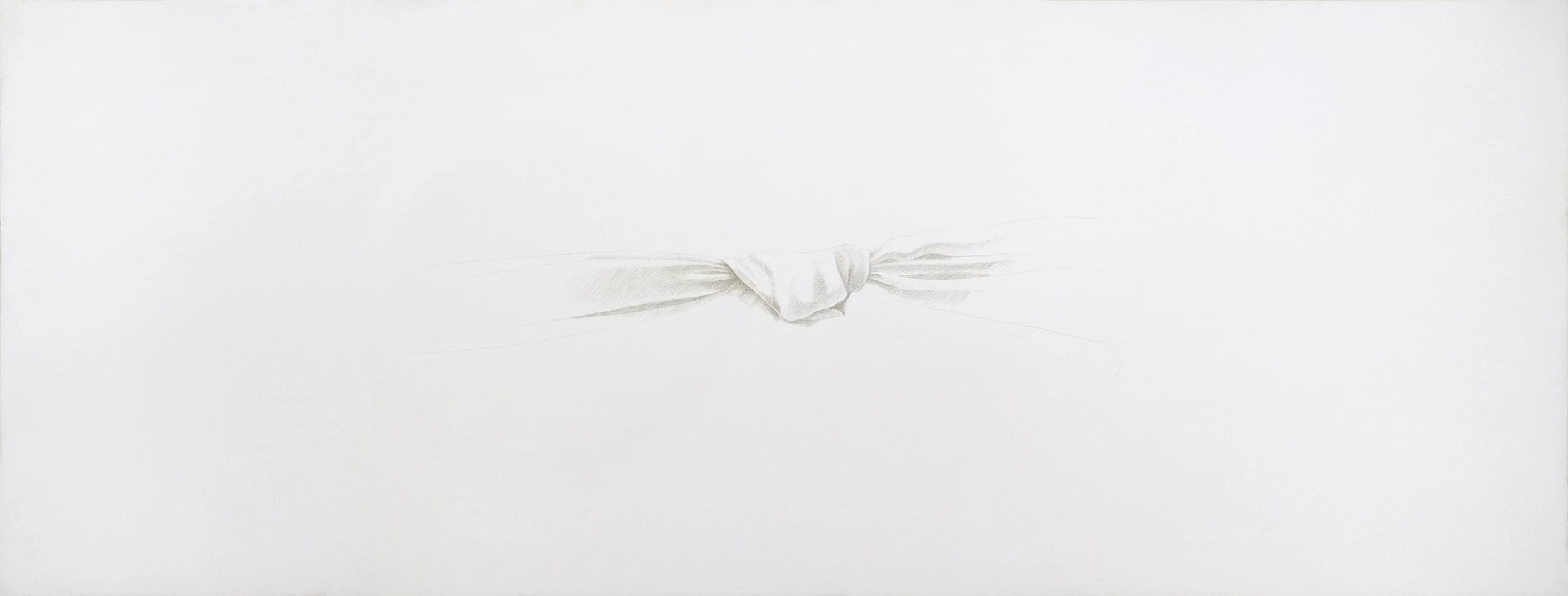 Knot #28, 1994, silverpoint on panel, 6" x 16"