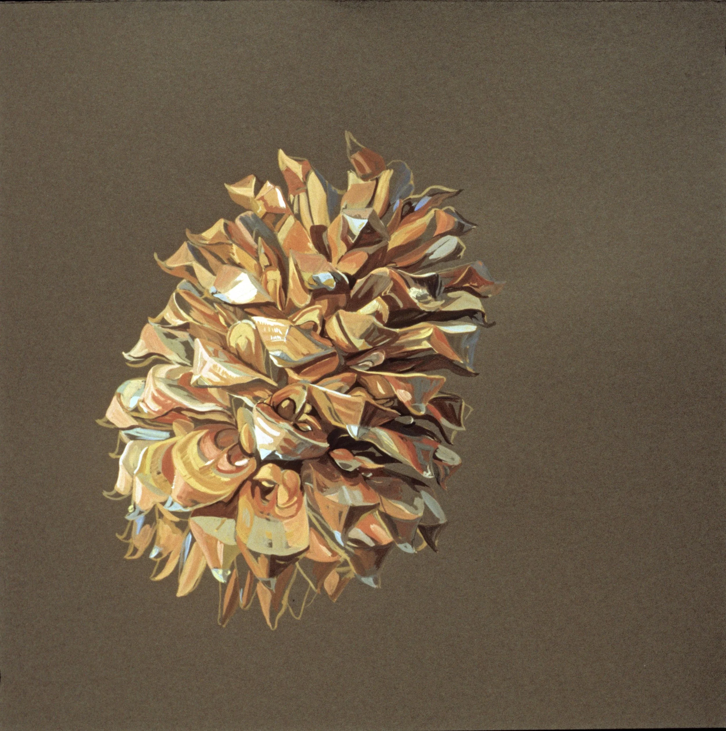 Cone #13, 2005, gouache on paper, 24" x 24"