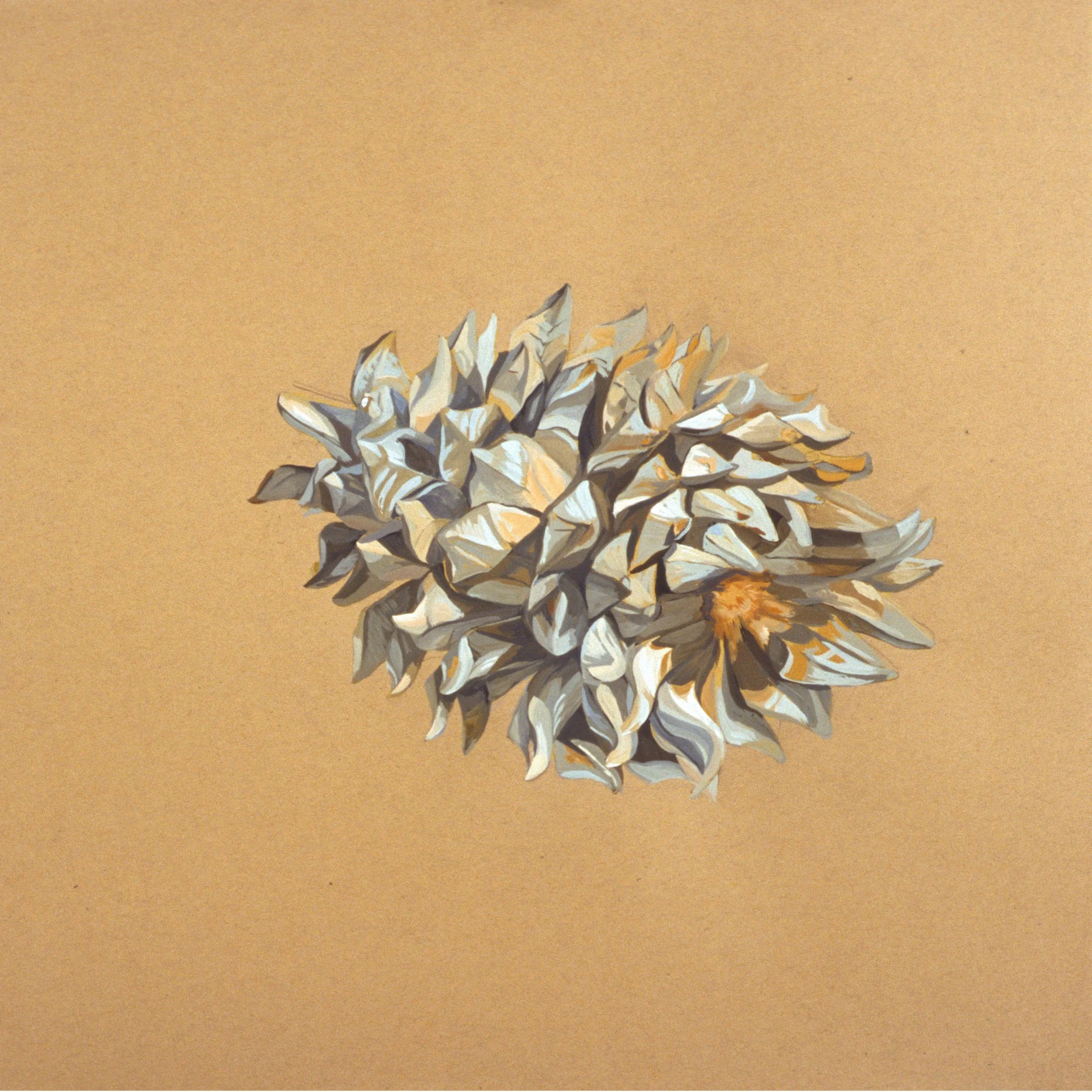 Cone #3, 2005, gouache on paper, 24" x 24"