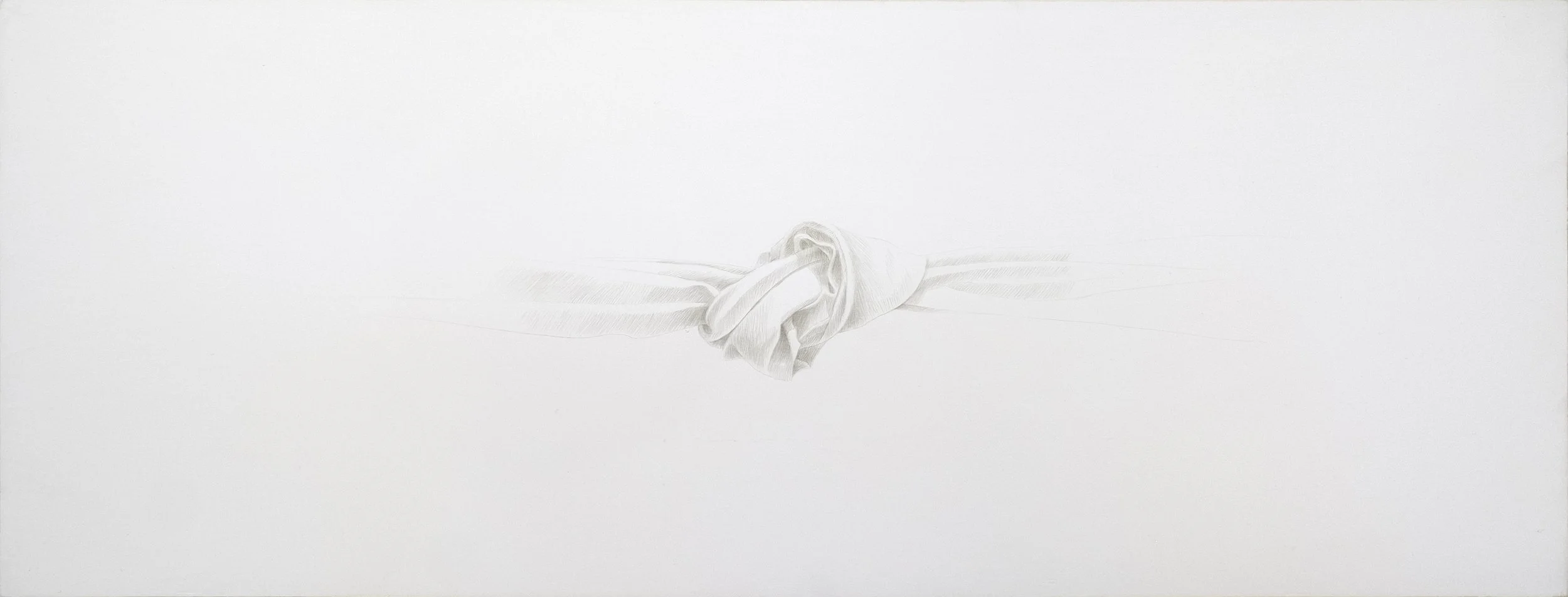 Knot #20, 1994, silverpoint on panel, 6" x 16"