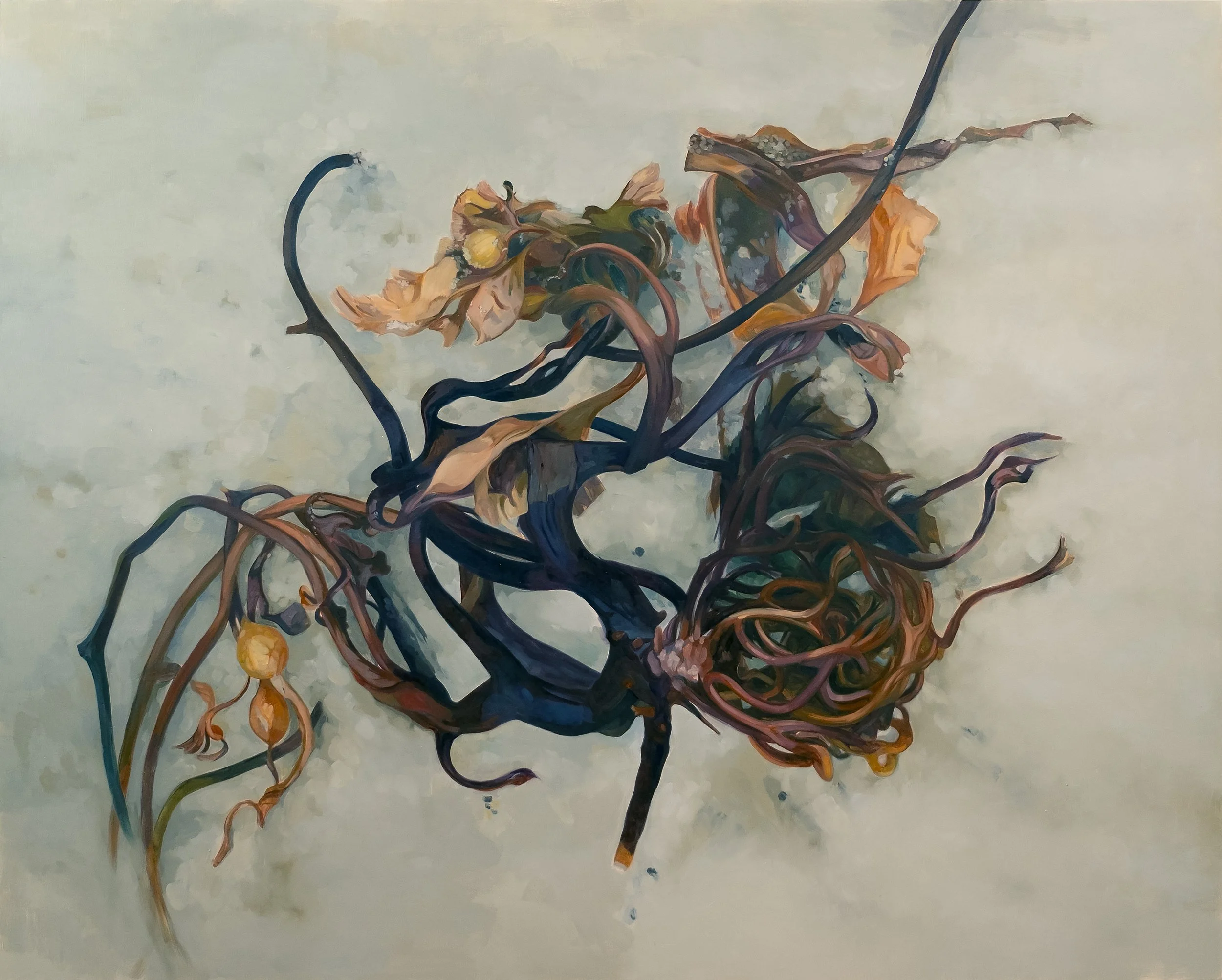 Seaweed.jpg