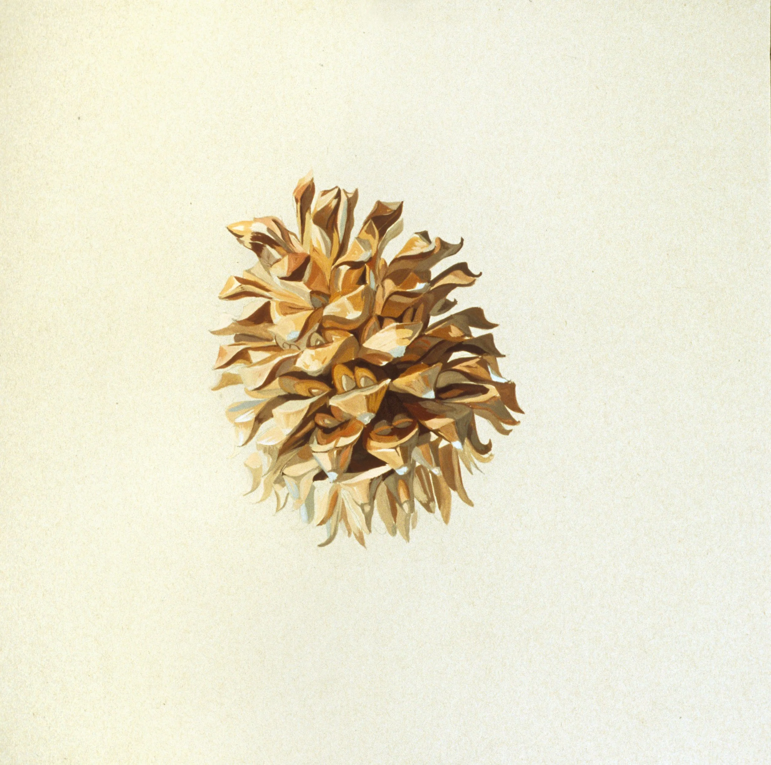 Cone #4, 2005, gouache on paper, 24" x 24"