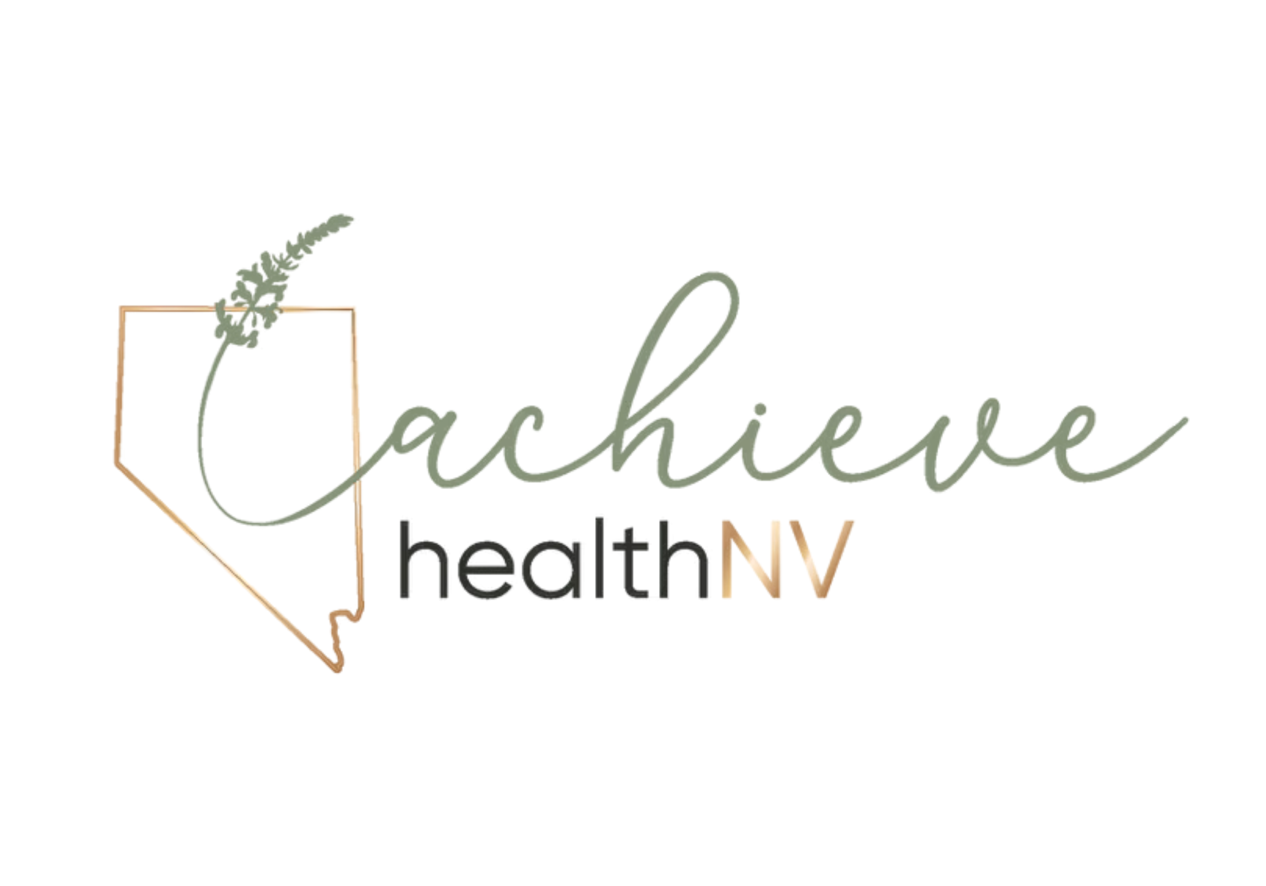 Achieve Health NV