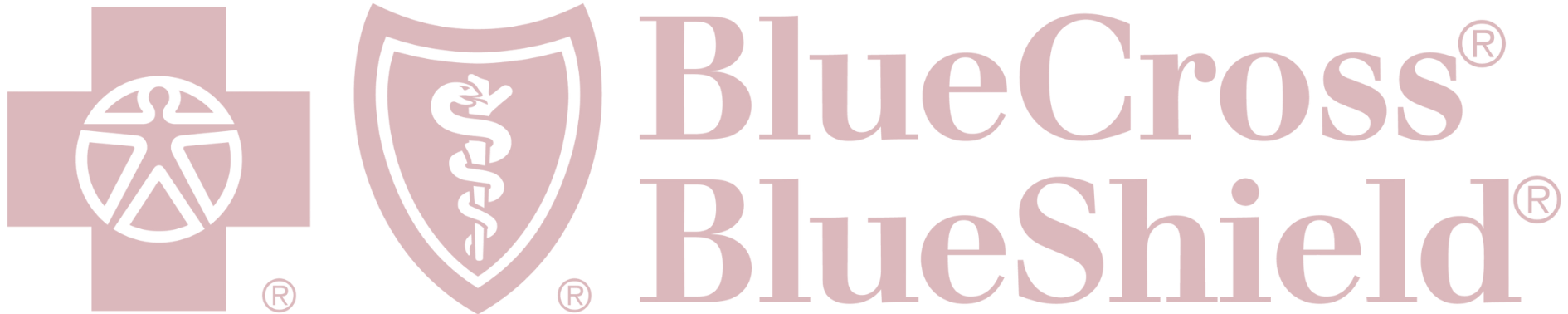 Logo with a pink cross, a circle with a star and a medical symbol, and the text "BlueCross BlueShield."
