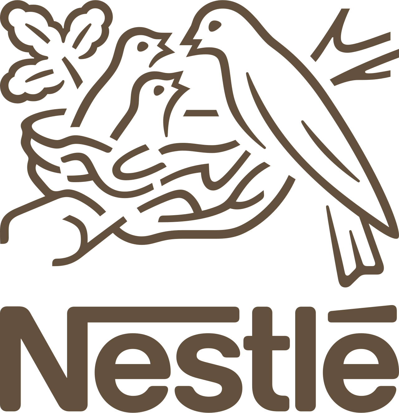 A hand holding a nest with two birds and leaves, with the Nestlé logo below.