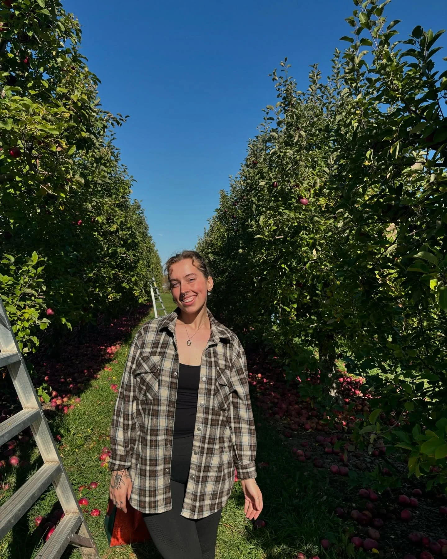 Overpriced apples, anyone?