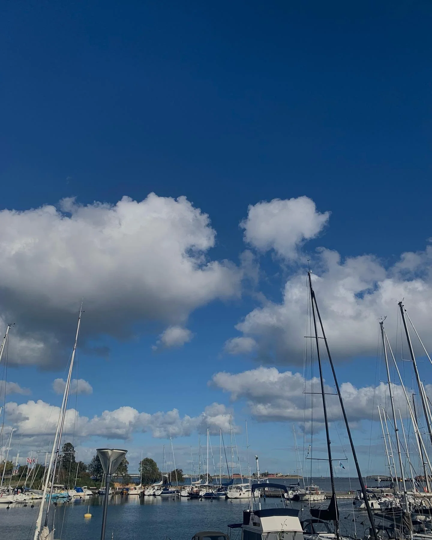 Pics I sent to my mum