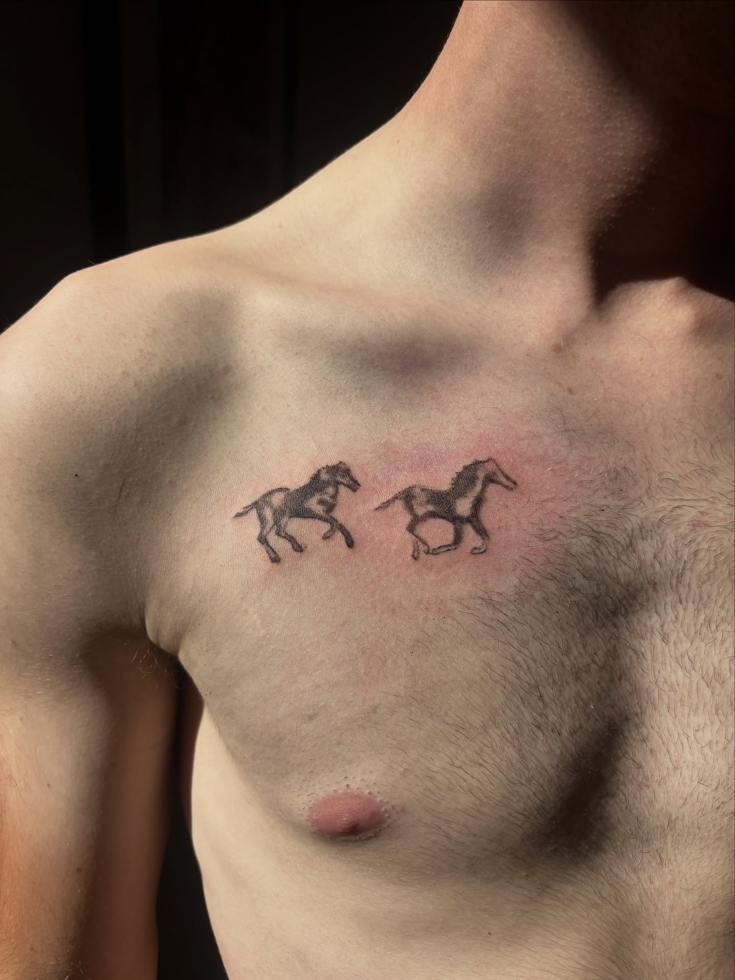 Merciii @alexander.prr pour le beau projet!! 😊🐎