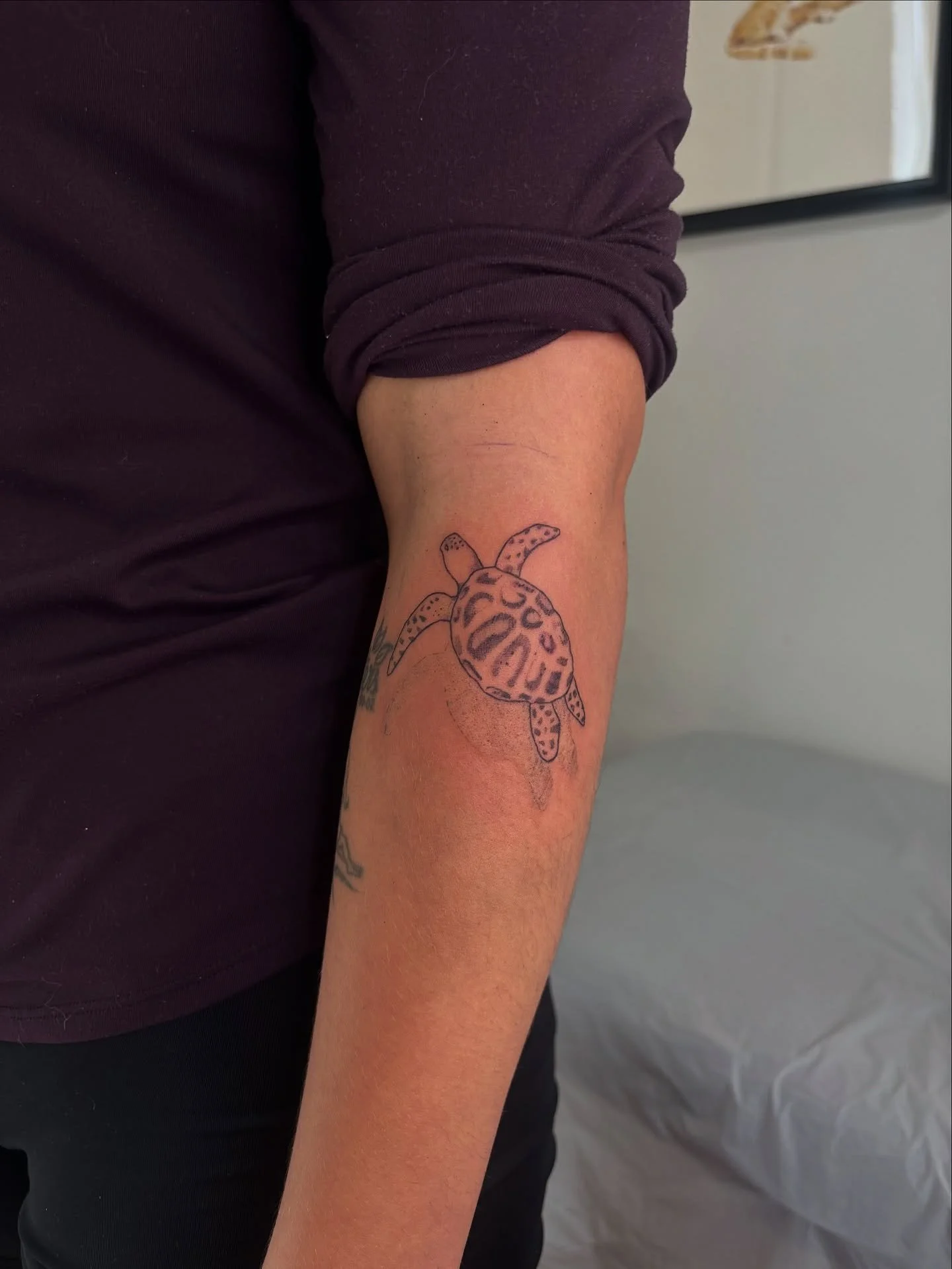 🐢 mercii @simardm5 pour ta confiance!!