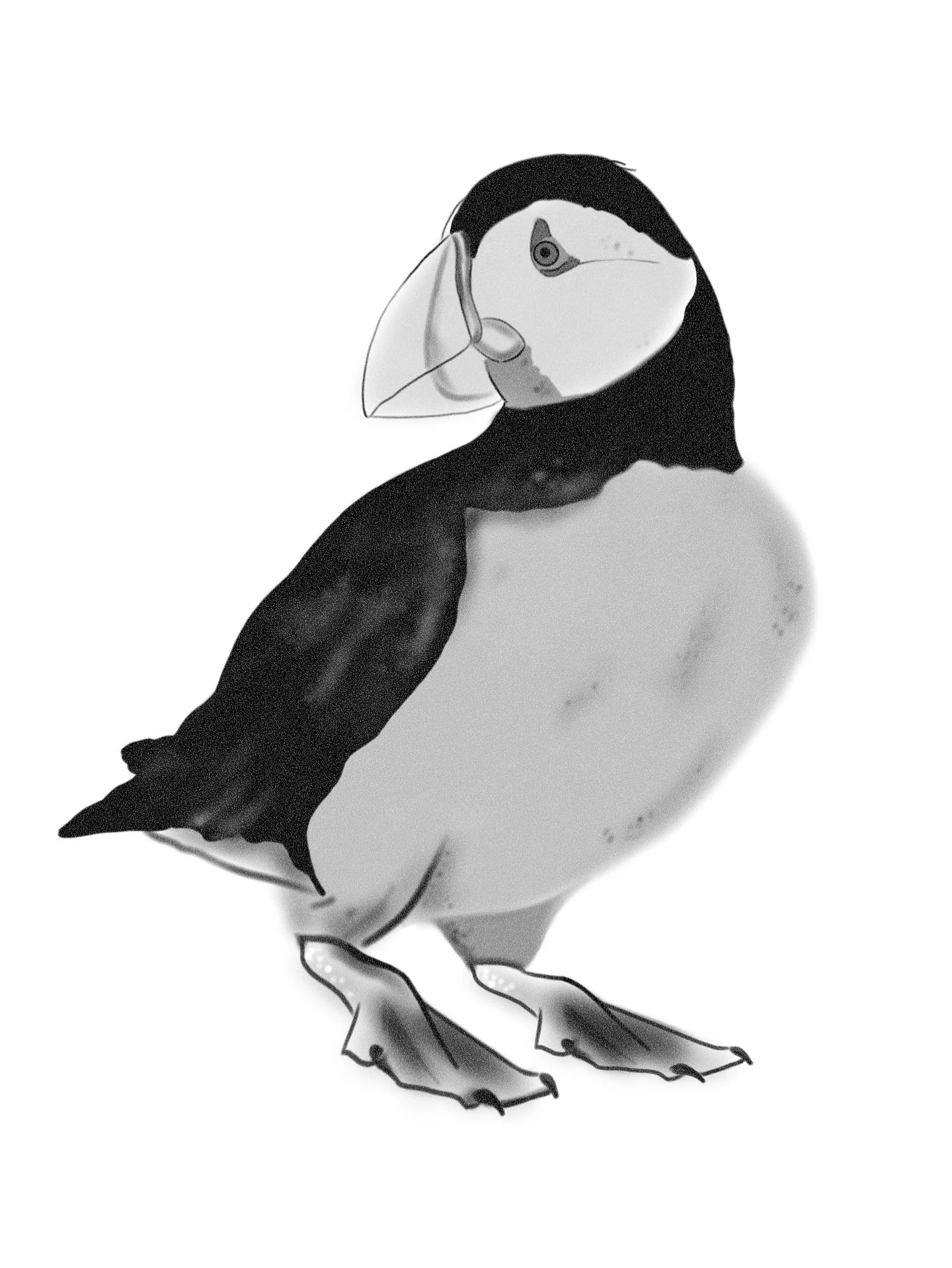 Flash disponible!! 🫶🏻