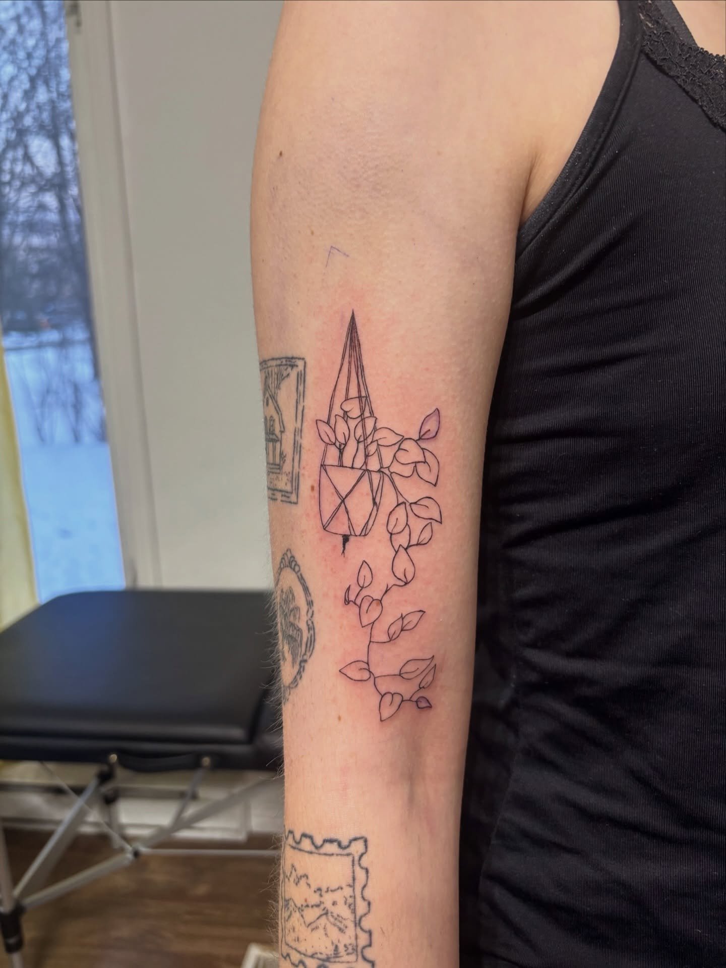 Belle petite plante pour @alexiegauvin 🪴