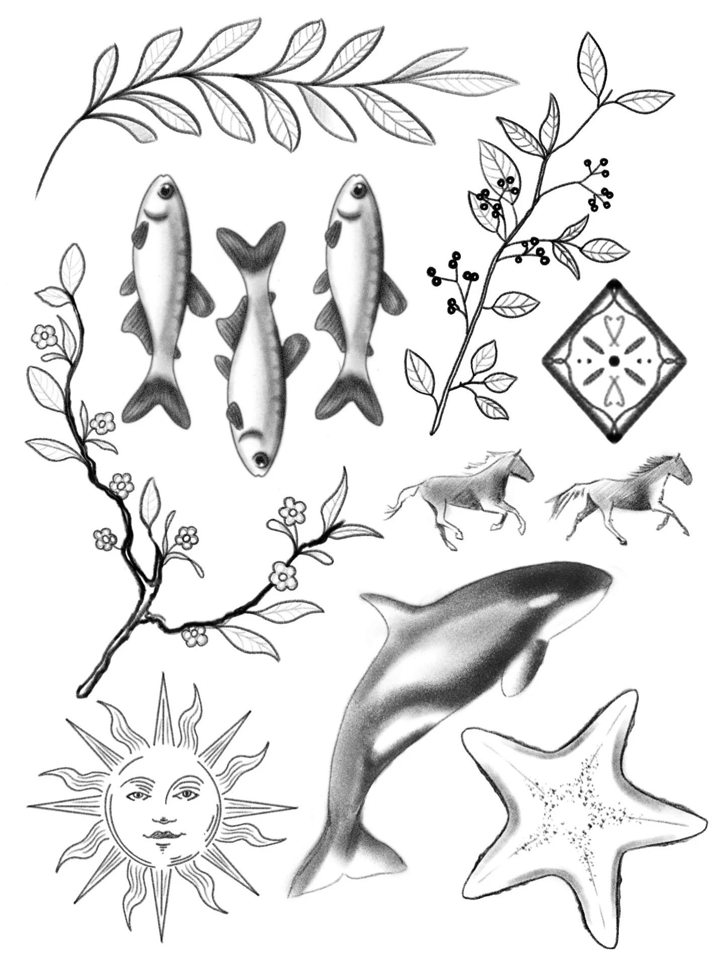 Encore plus de flashs!!! 🫶🏻🫶🏻🫶🏻