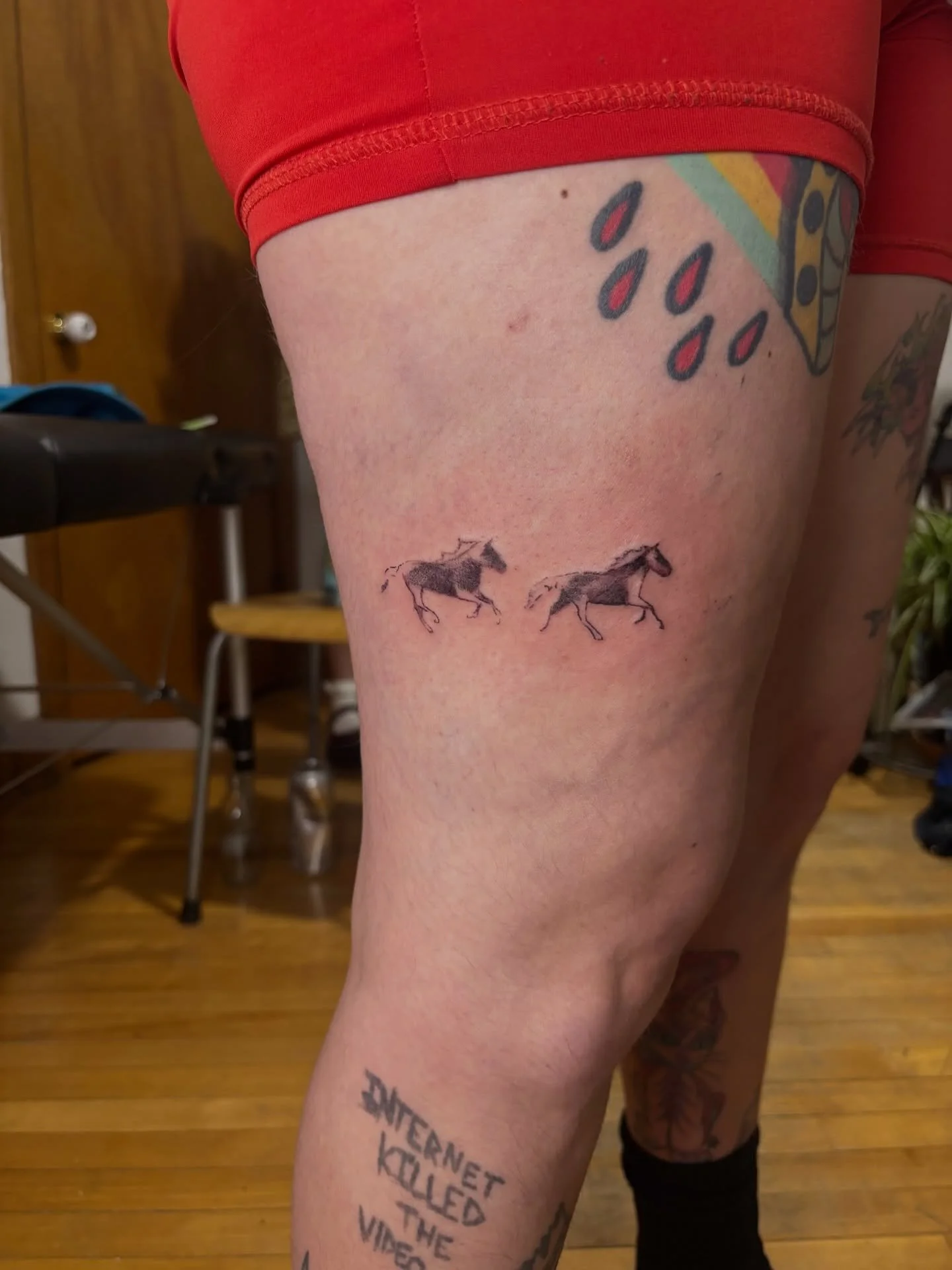 Un des mes petits flashs !! 🐎