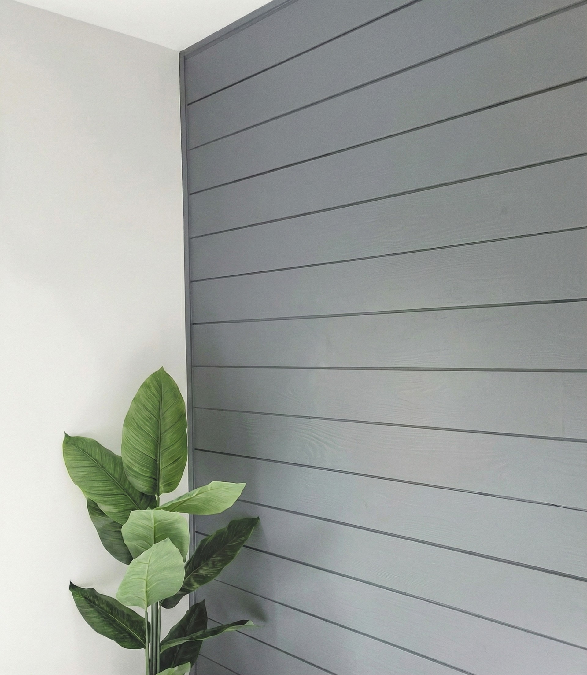 Exterior Shiplap Cladding Profile