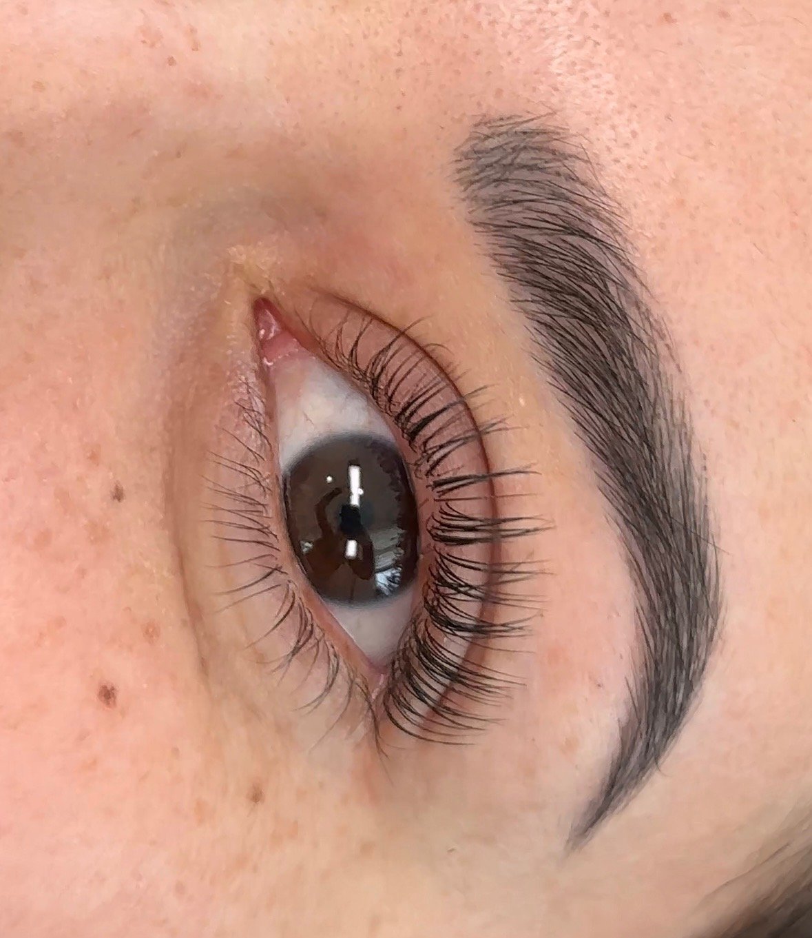Close-up of a human eye with dark brown iris, long eyelashes, and well-groomed eyebrow.