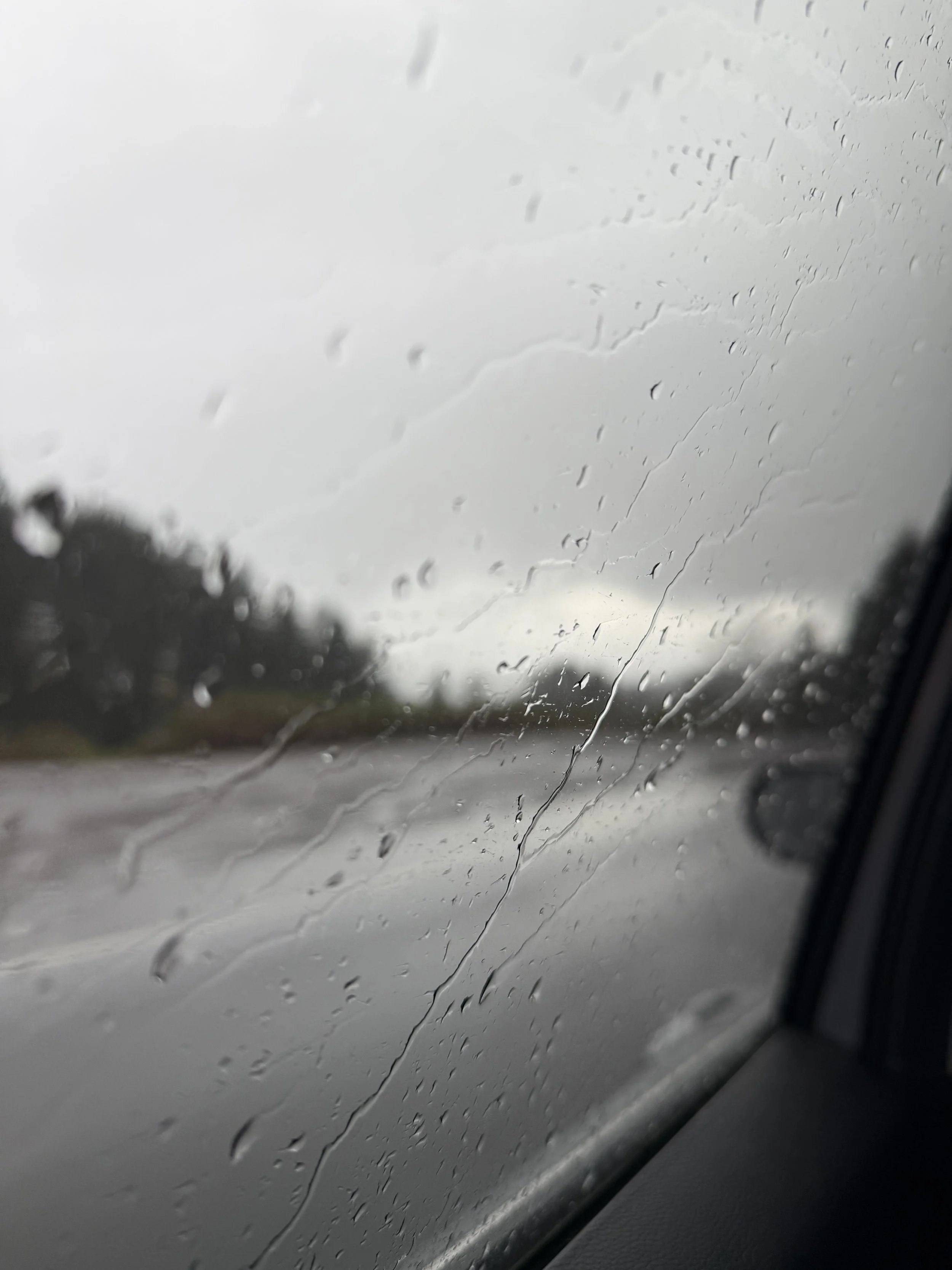 Rain Speaks
