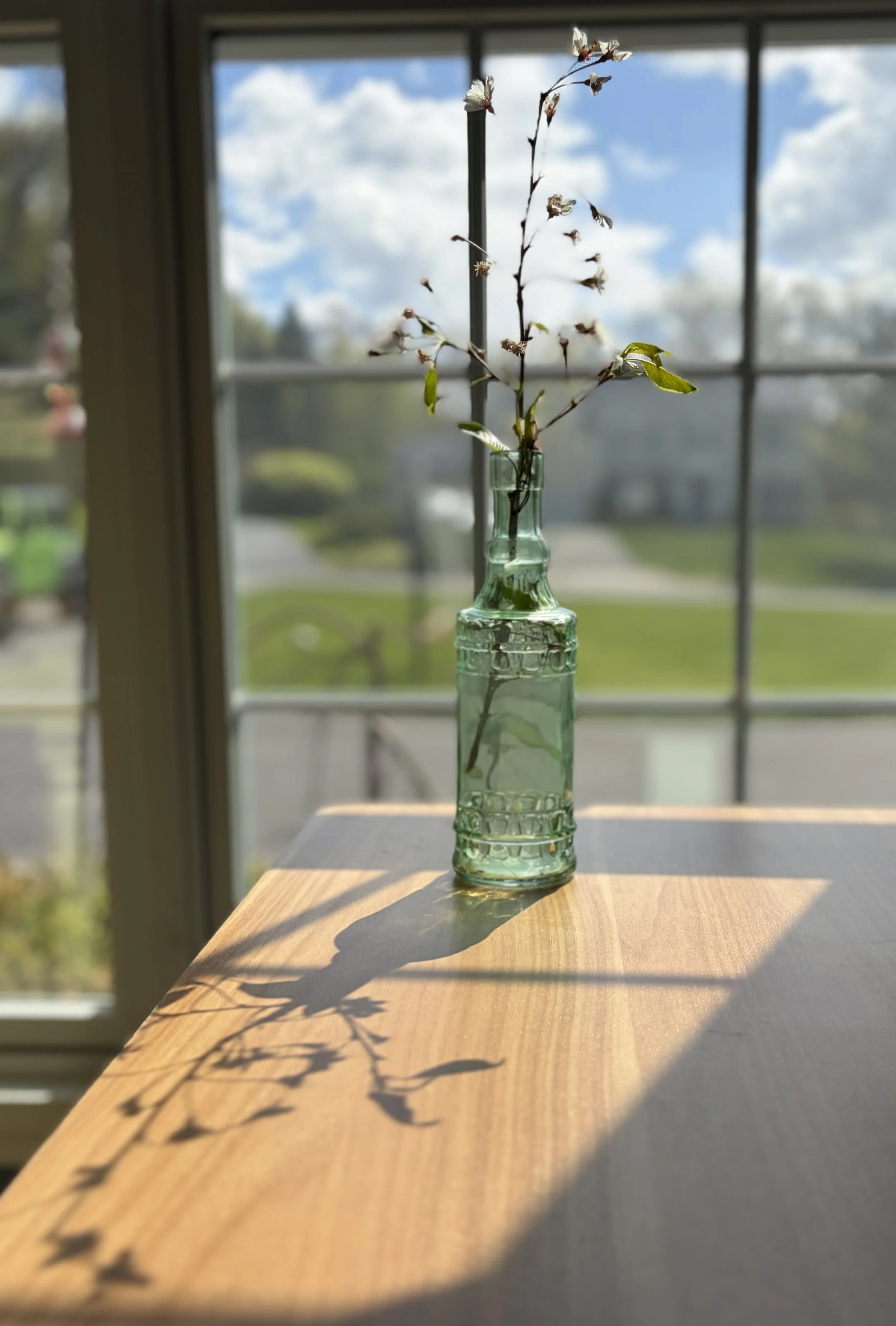 Cherry blossom branches in a vase by a window, evoking calm and renewal