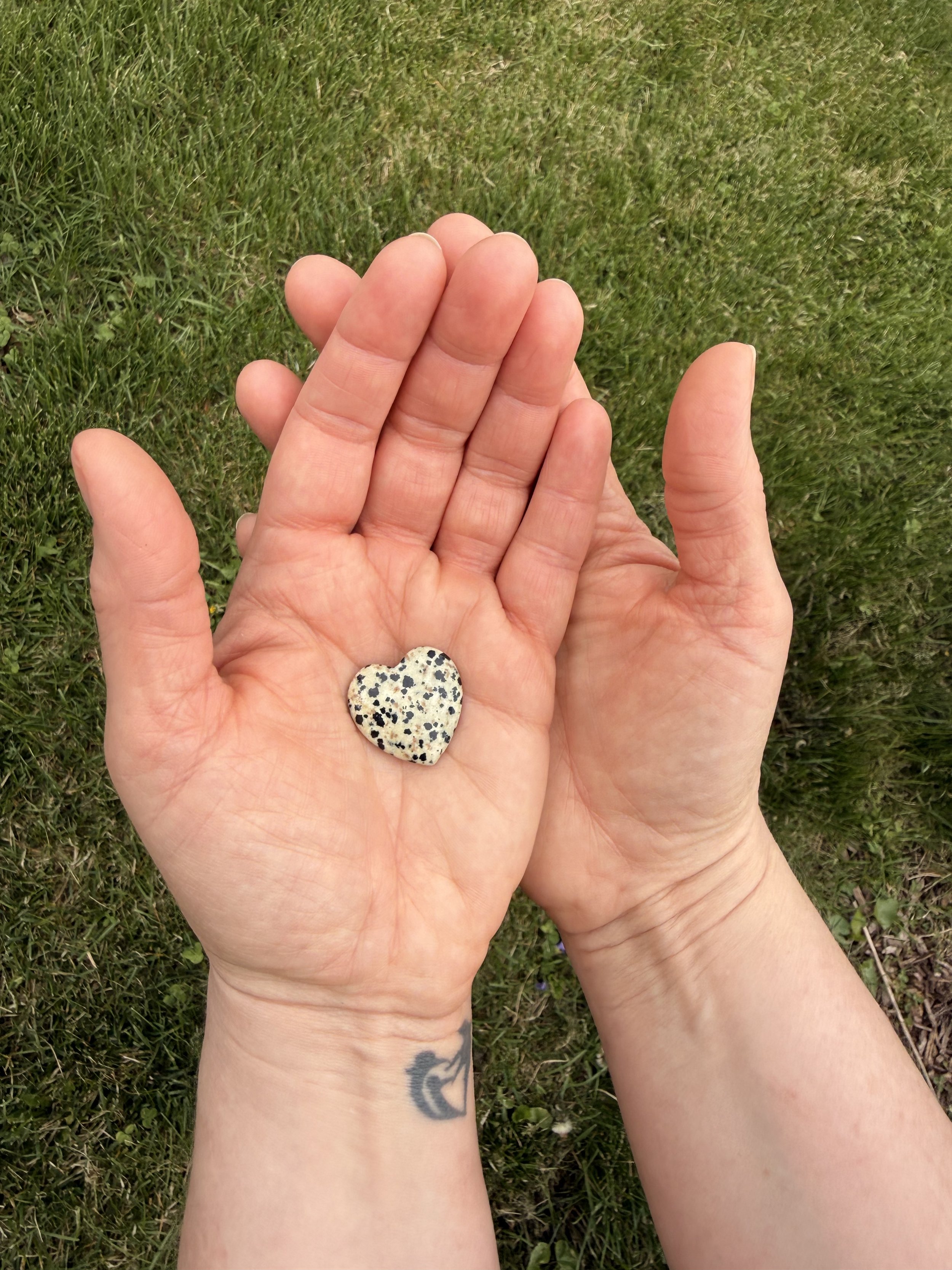 Two open hands holding a heart-shaped Dalmatian jasper crystal representing compassion and healing in therapy
