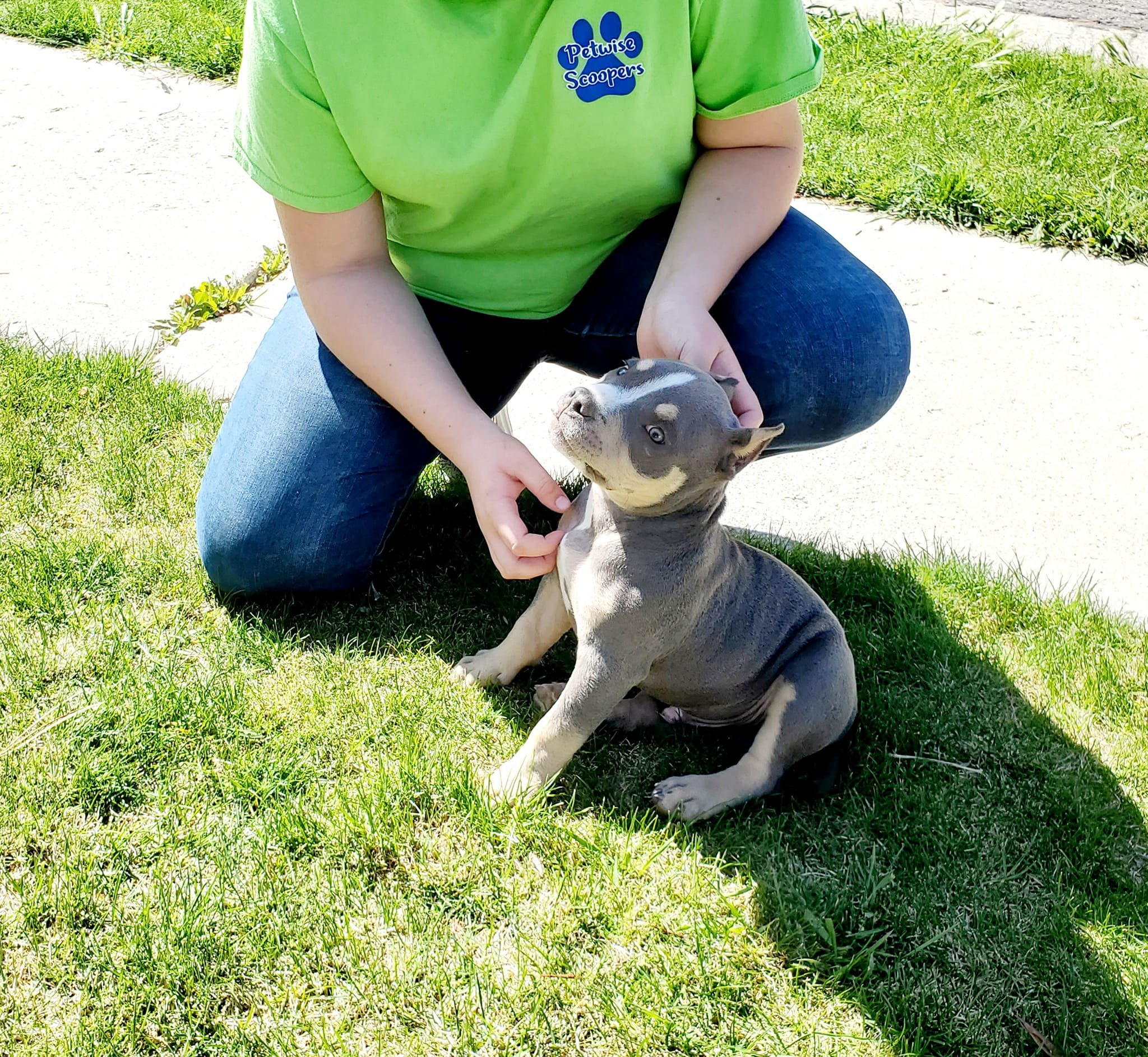 A person in a green Petwise Scoopers t-shirt kneeling on the grass, holding a young gray and white puppy, outdoors on a sunny day.