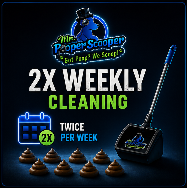2x Weekly Service