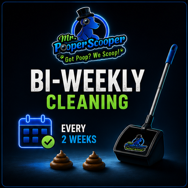 Bi-Weekly Cleaning