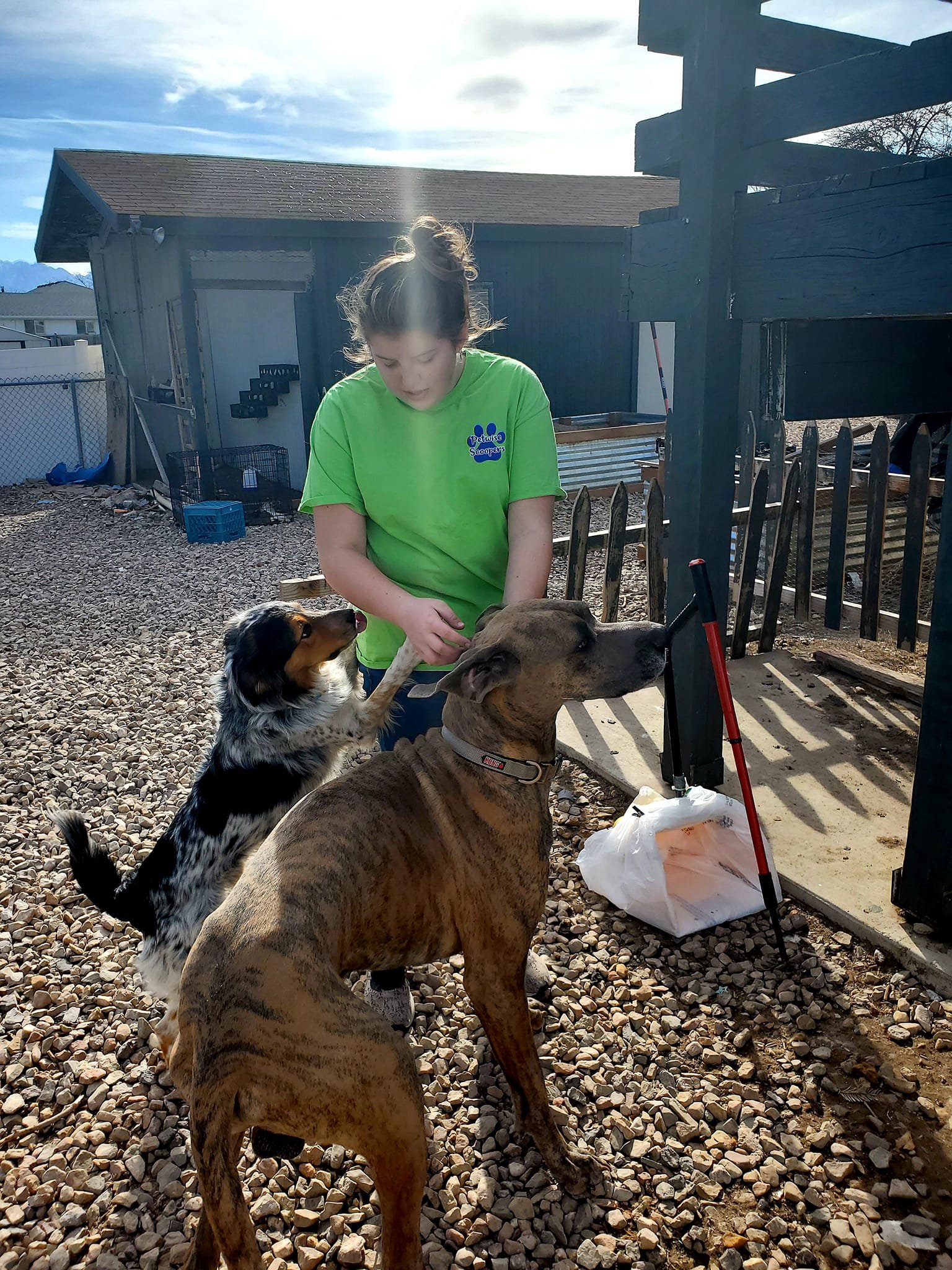 We proudly provide pooper scooper services throughout the Salt Lake Valley, including:

Salt Lake City, West Jordan, Sandy, Draper, South Jordan, Lehi, Riverton, Herriman, Murray, Taylorsville, and surrounding areas.

If you’re searching for “pooper