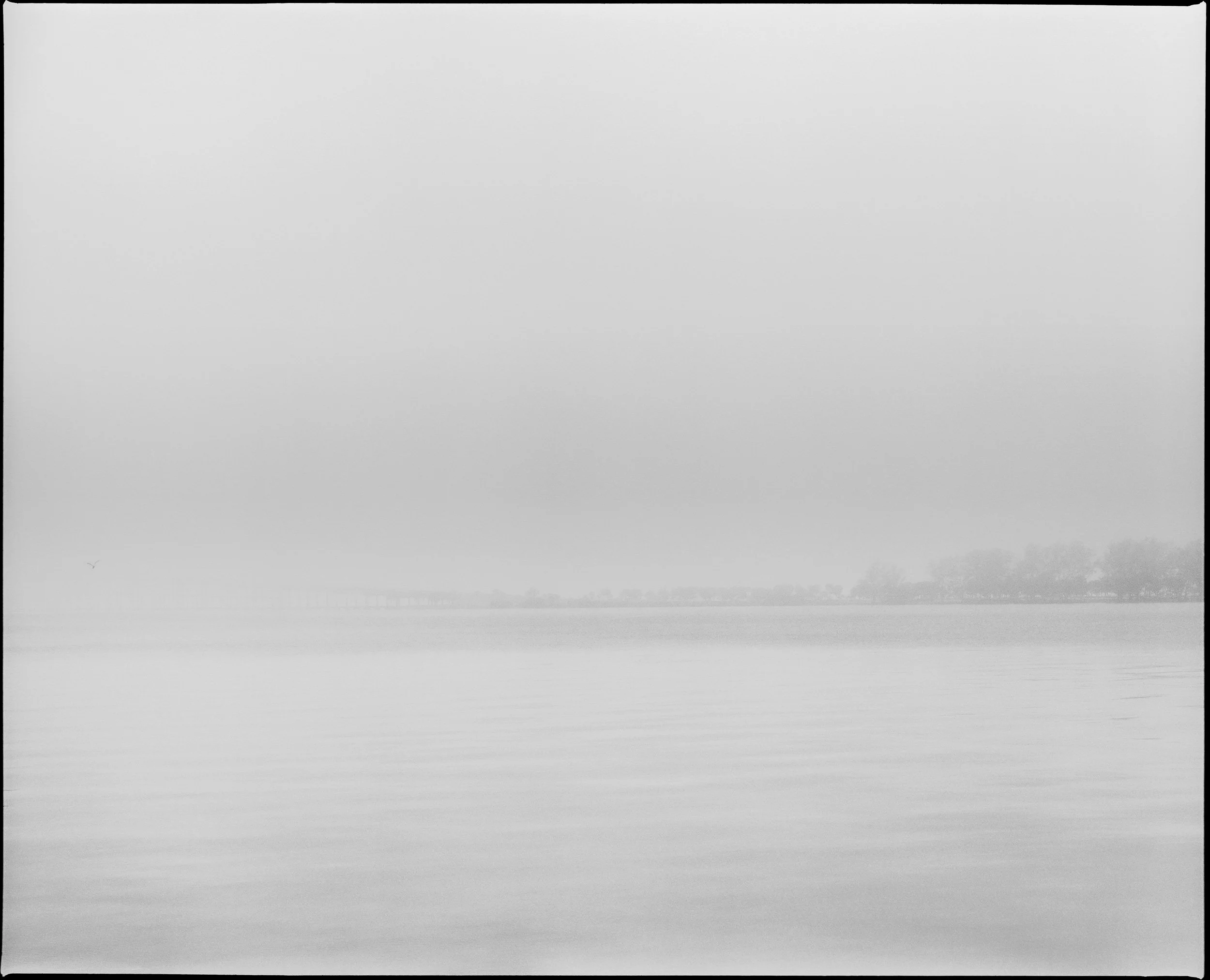 'Swimming with Mies 1411_3'  Miami 2017