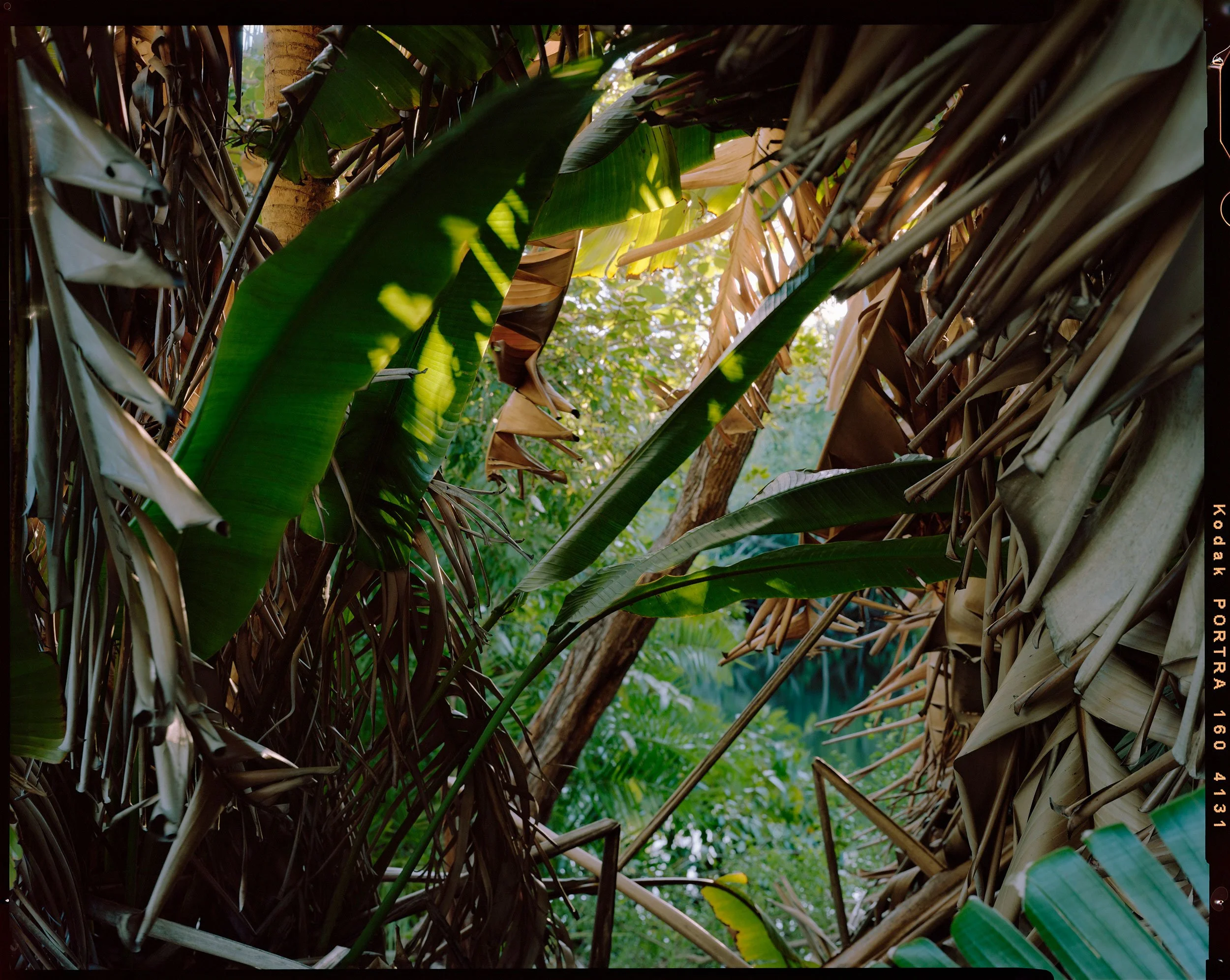 'Outdoor Enclosures_07_4131'   2021