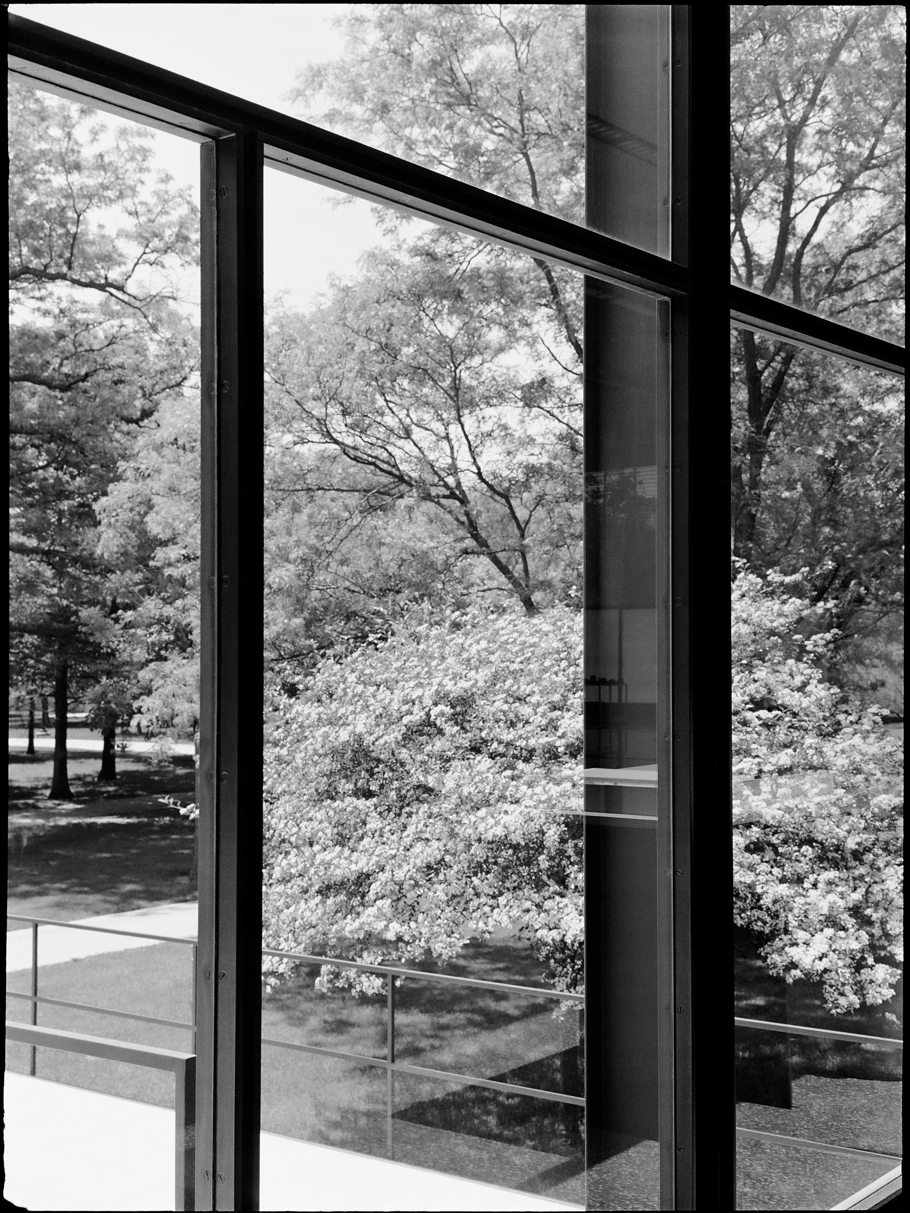 Swimming with Mies 0032_5   Chicago 2018