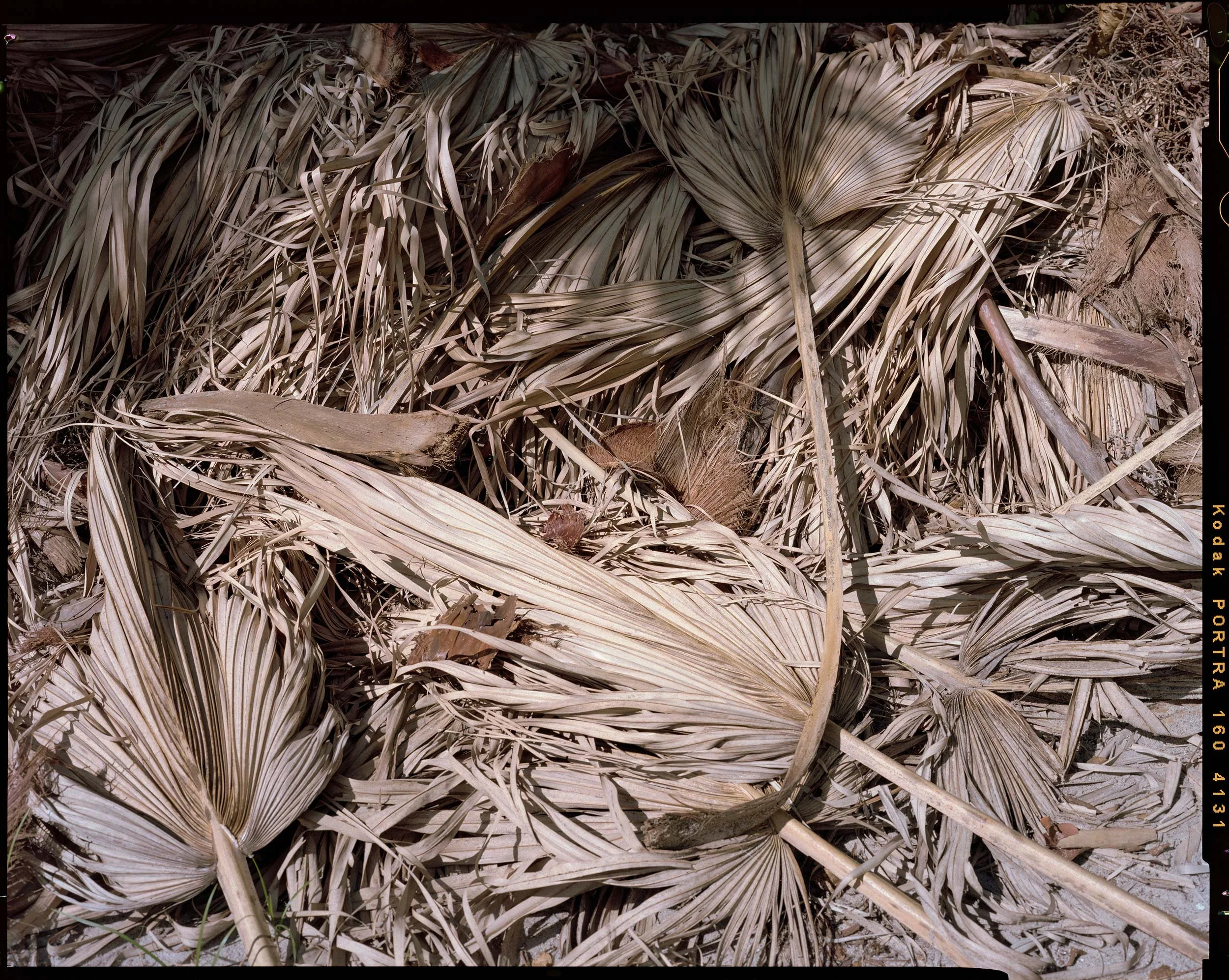 'Outdoor Enclosures_11_4131'   2021