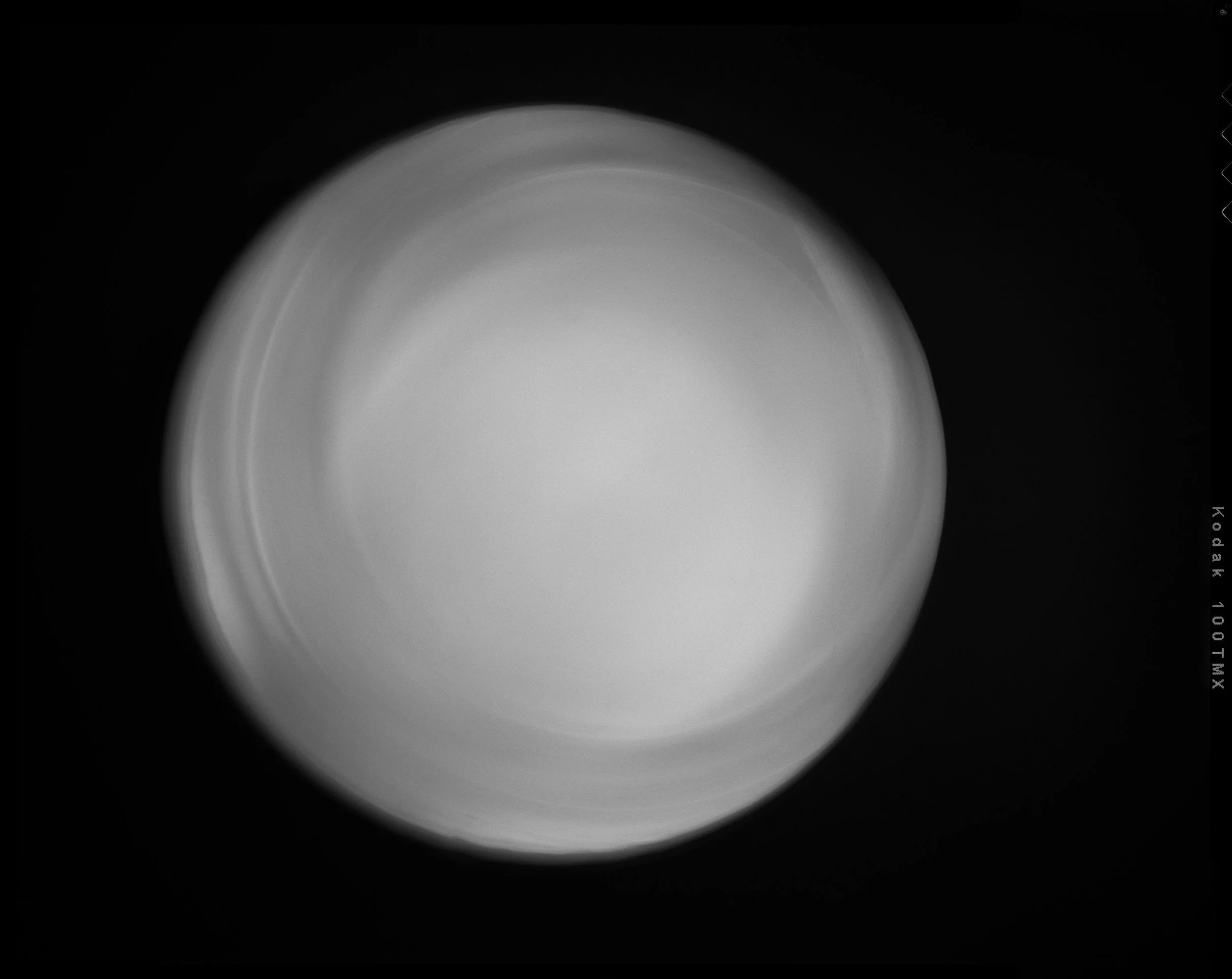 'Elliptar 100_01' 2024
