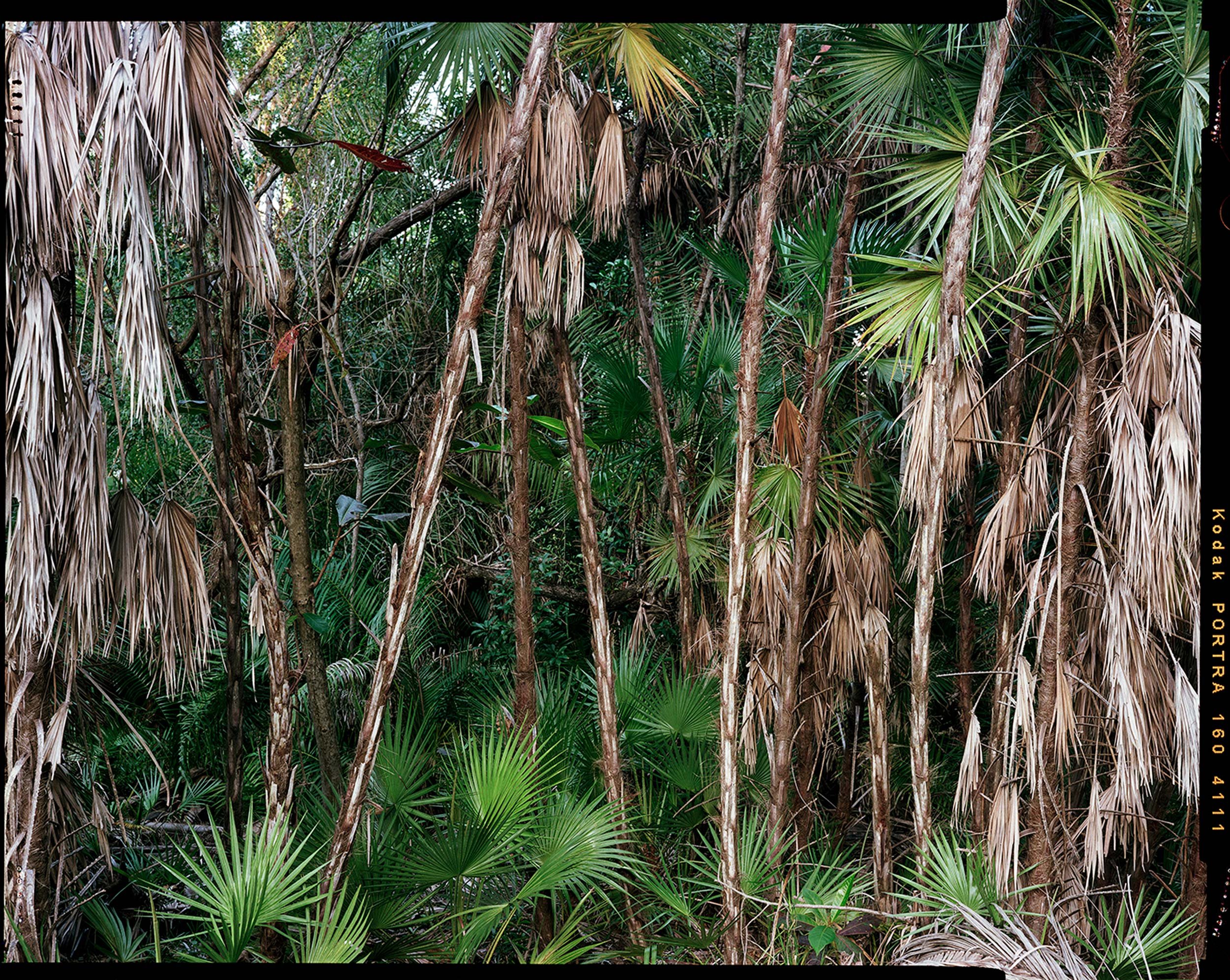 'Outdoor Enclosures_01_4111'  2020