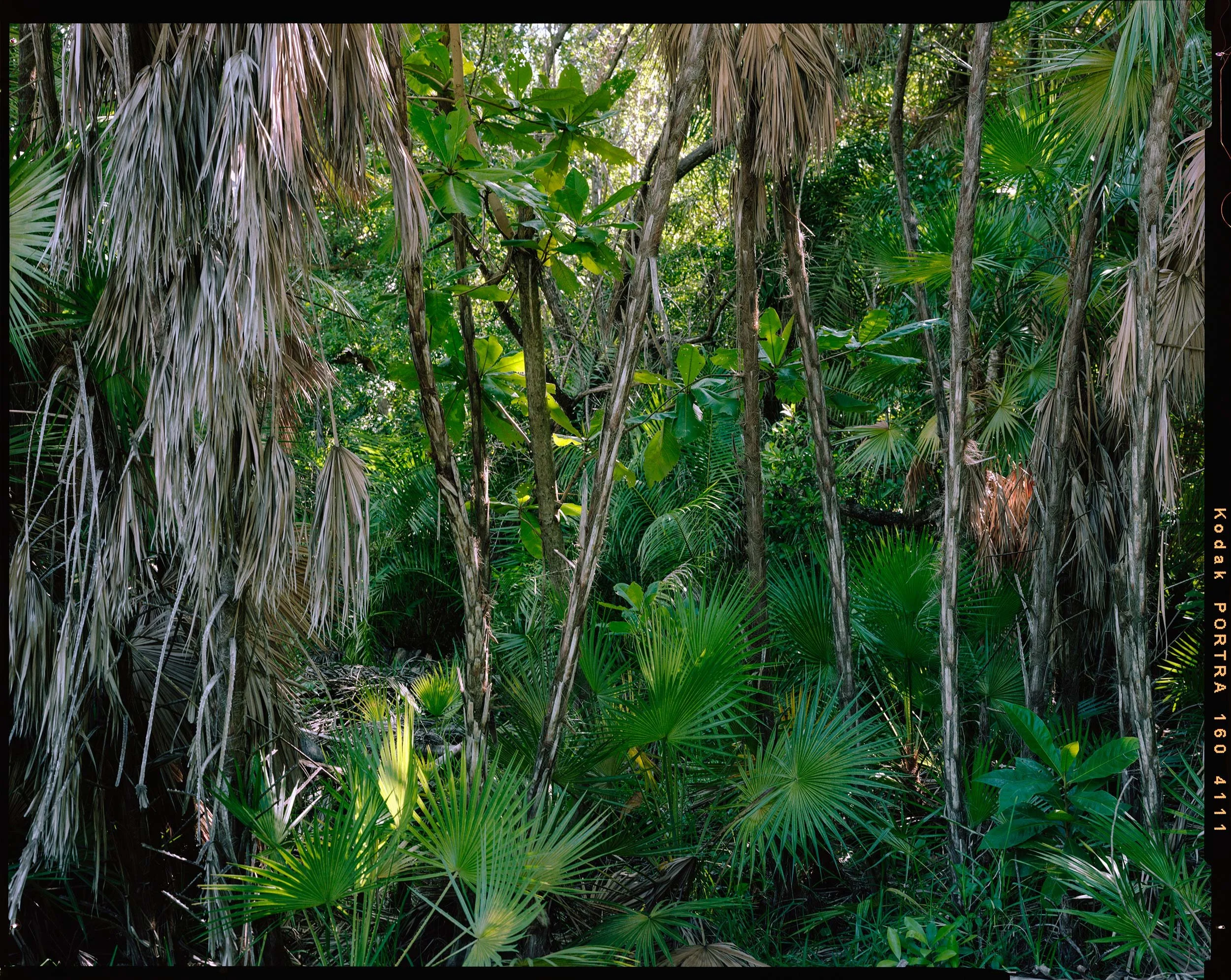 'Outdoor Enclosures_10_4111'   2020