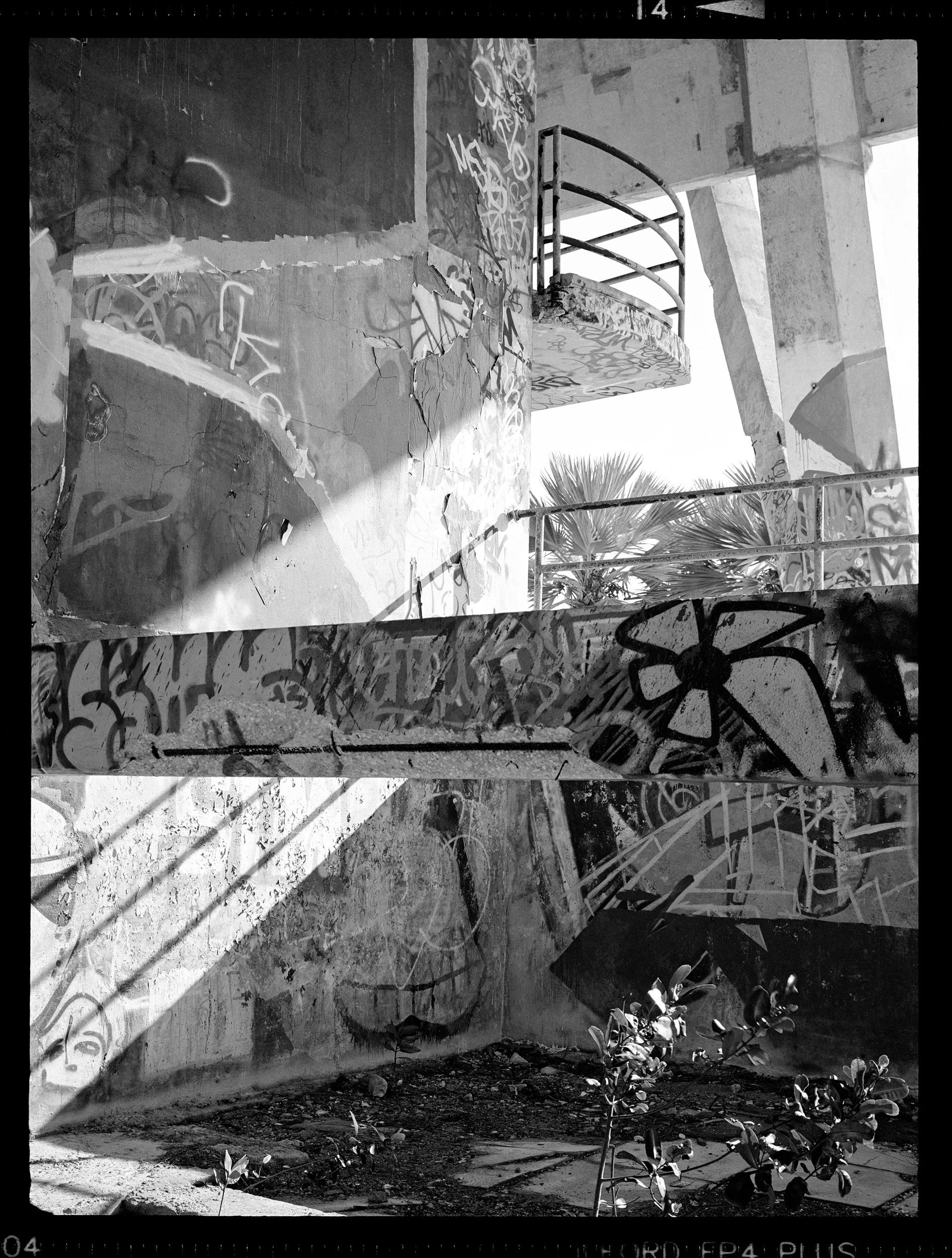 'HC_MS_0555_14'  2021