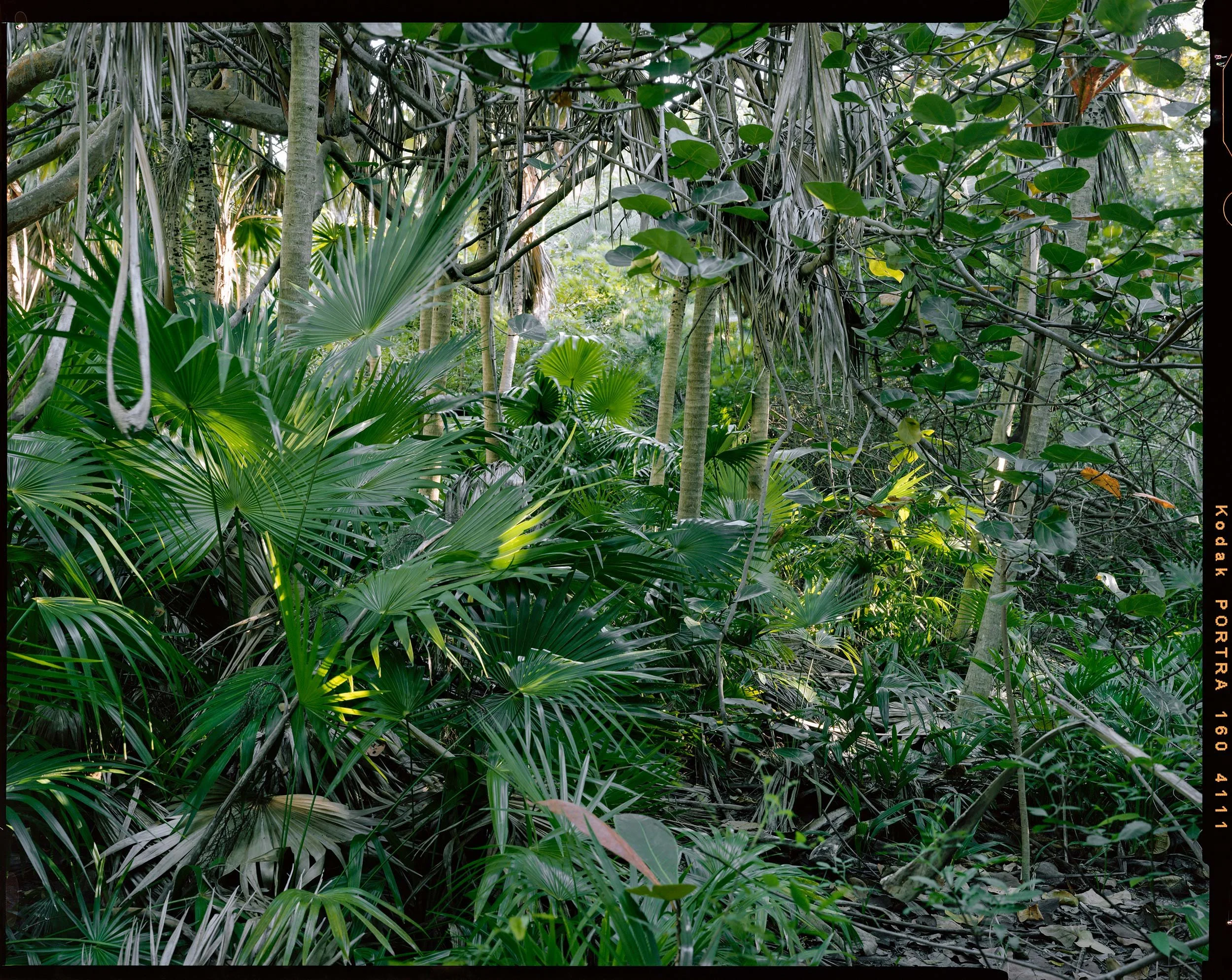 'Outdoor Enclosures_03_4111'   2021