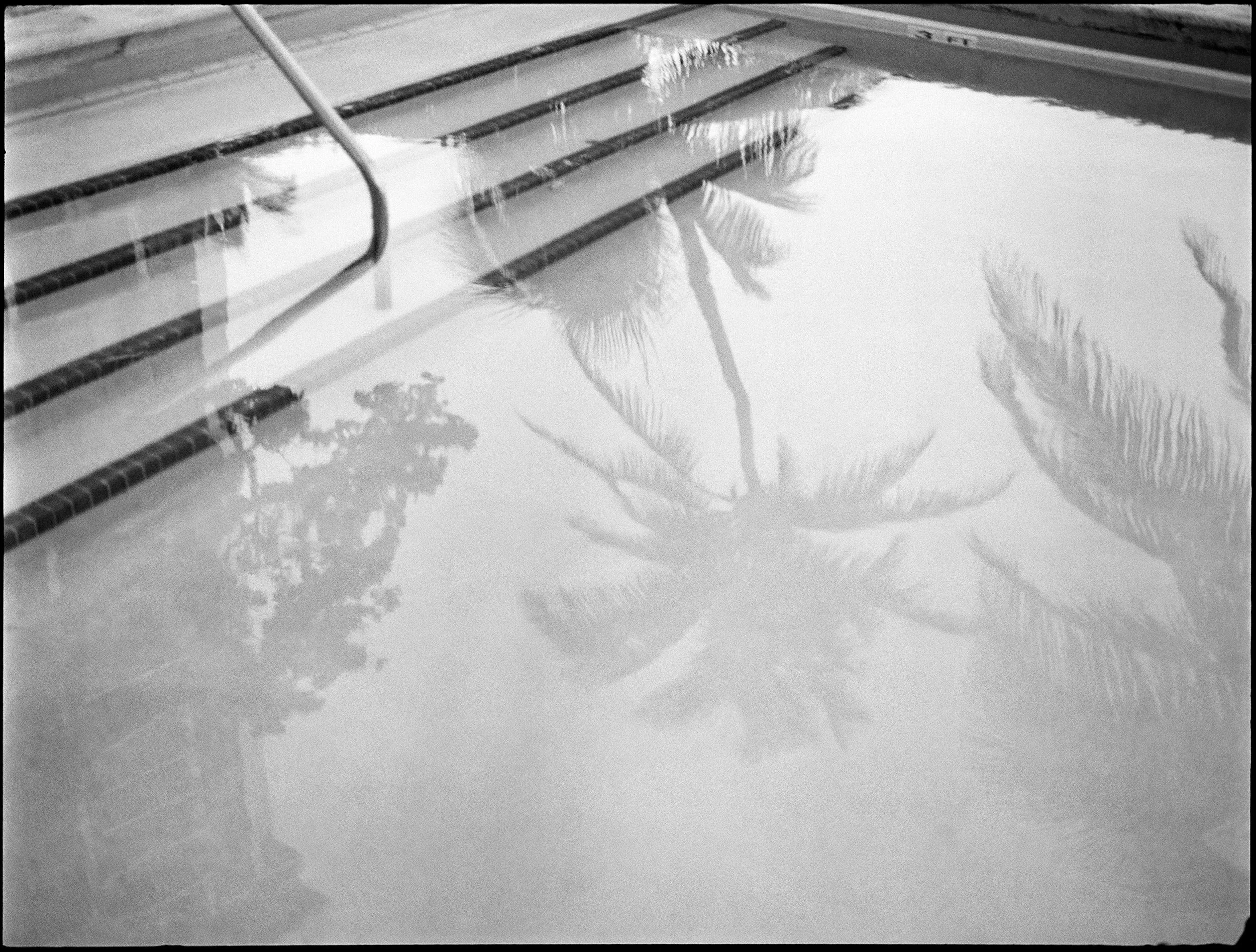 'Swimming with Mies 0023_12'  Miami 2017