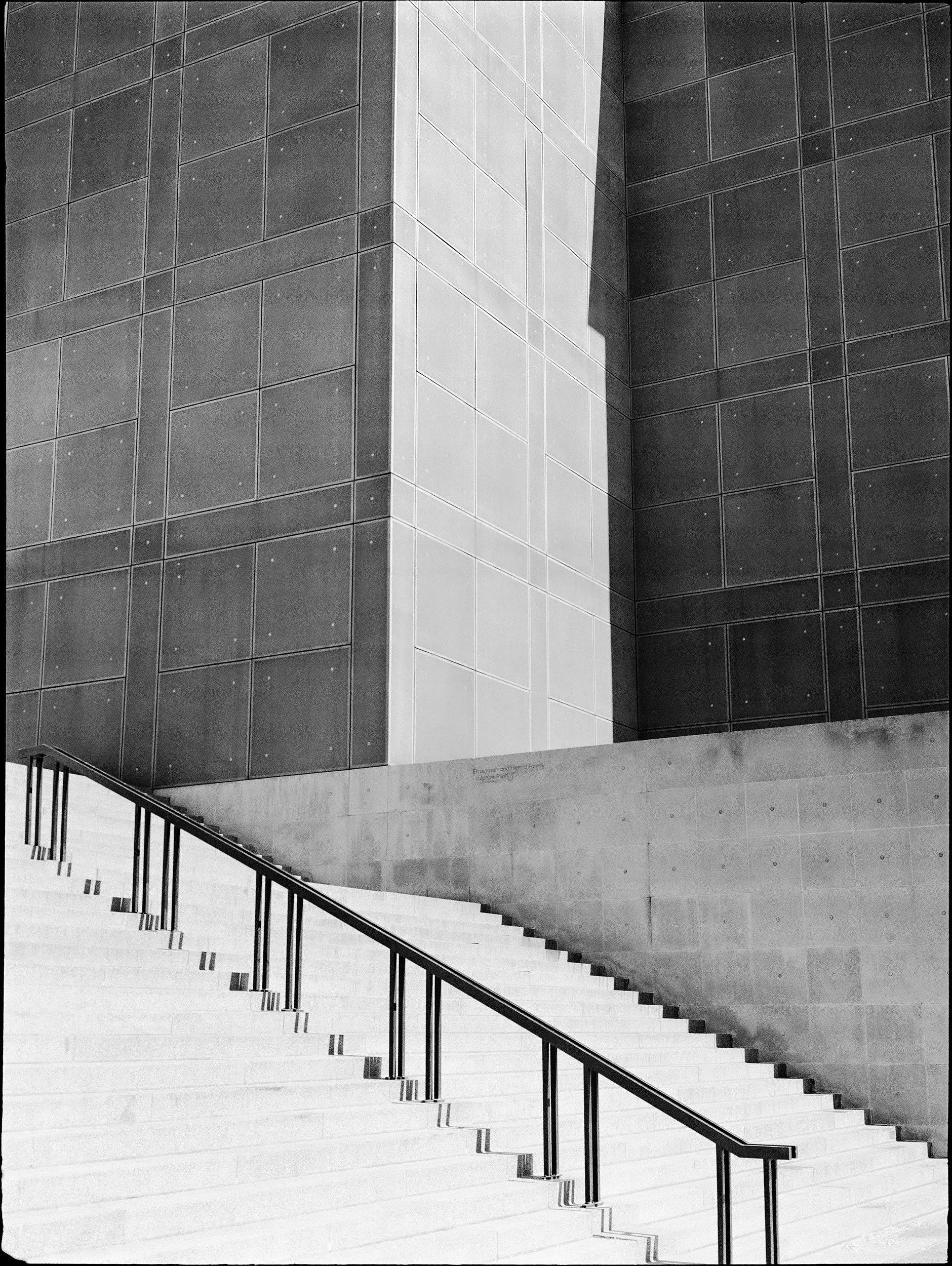 'Swimming with Mies 0029_14'   Chicago 2018