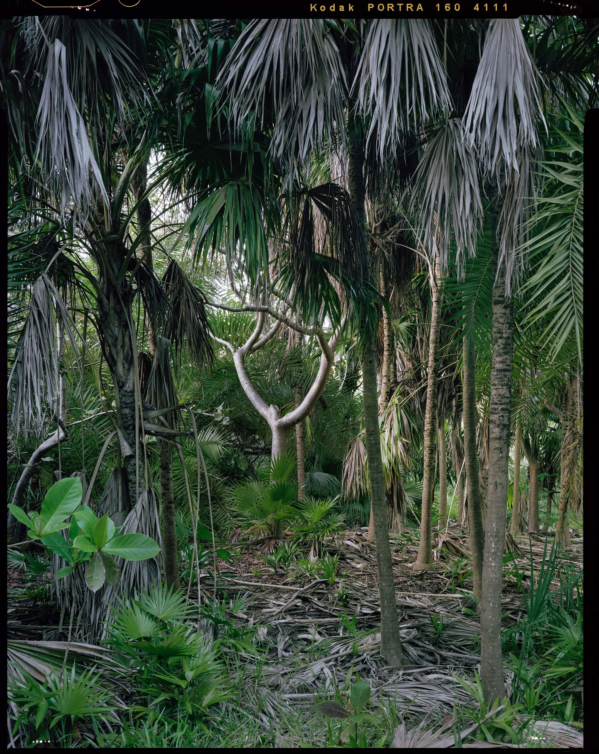 'Outdoor Enclosures_19_4111'  2020